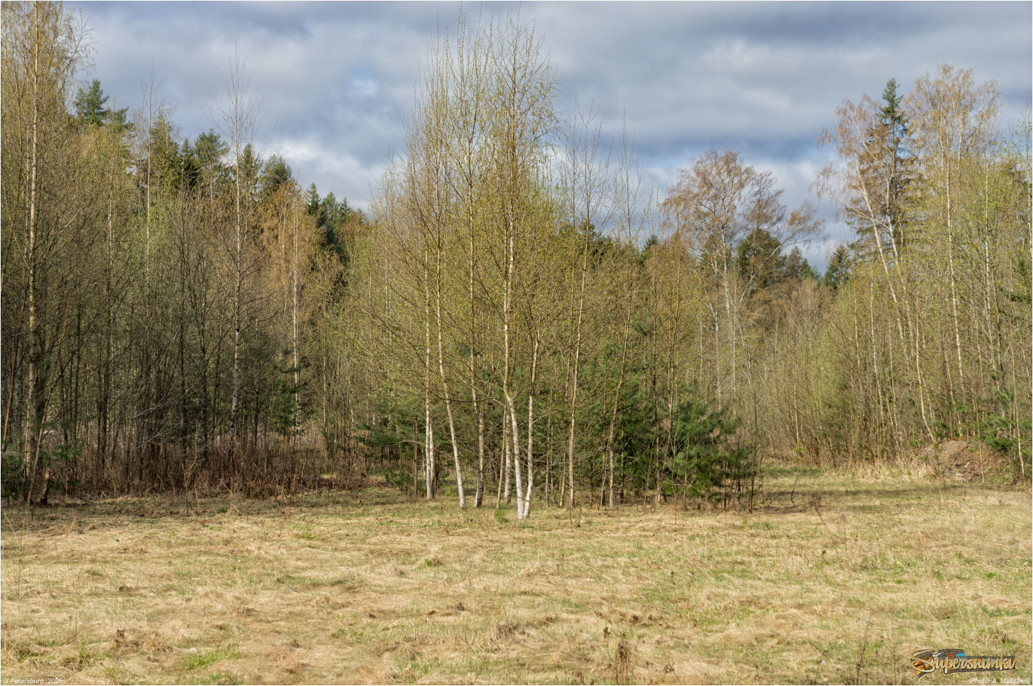 Майский денёк.