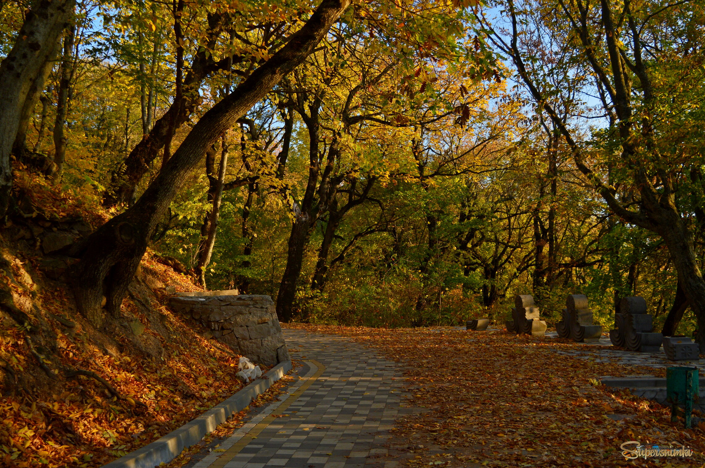 Утро на терренкуре..... 