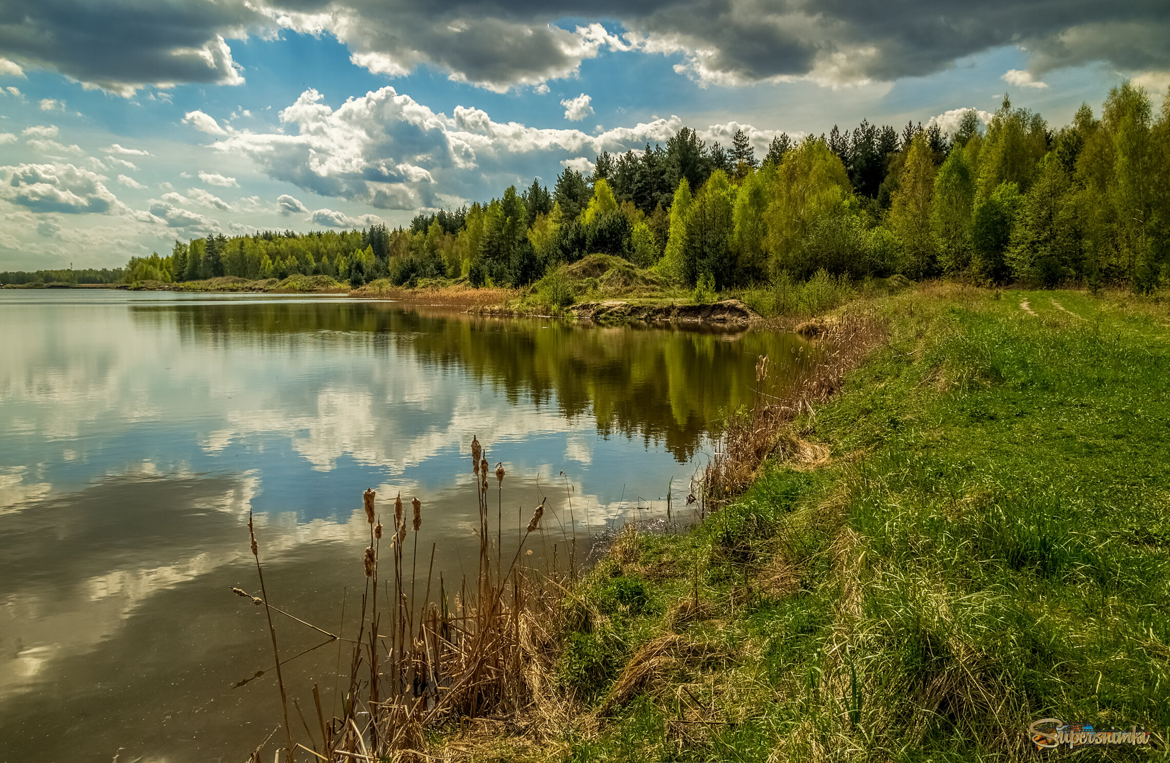 Майское утро V 