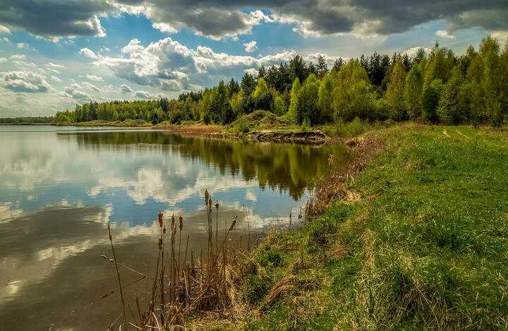 Майское утро V 