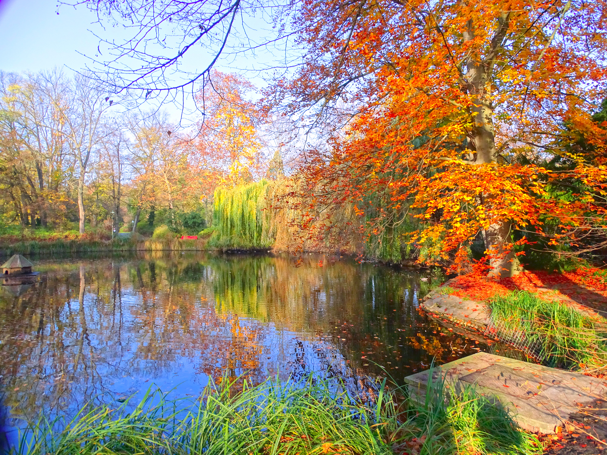 Осенний пруд.