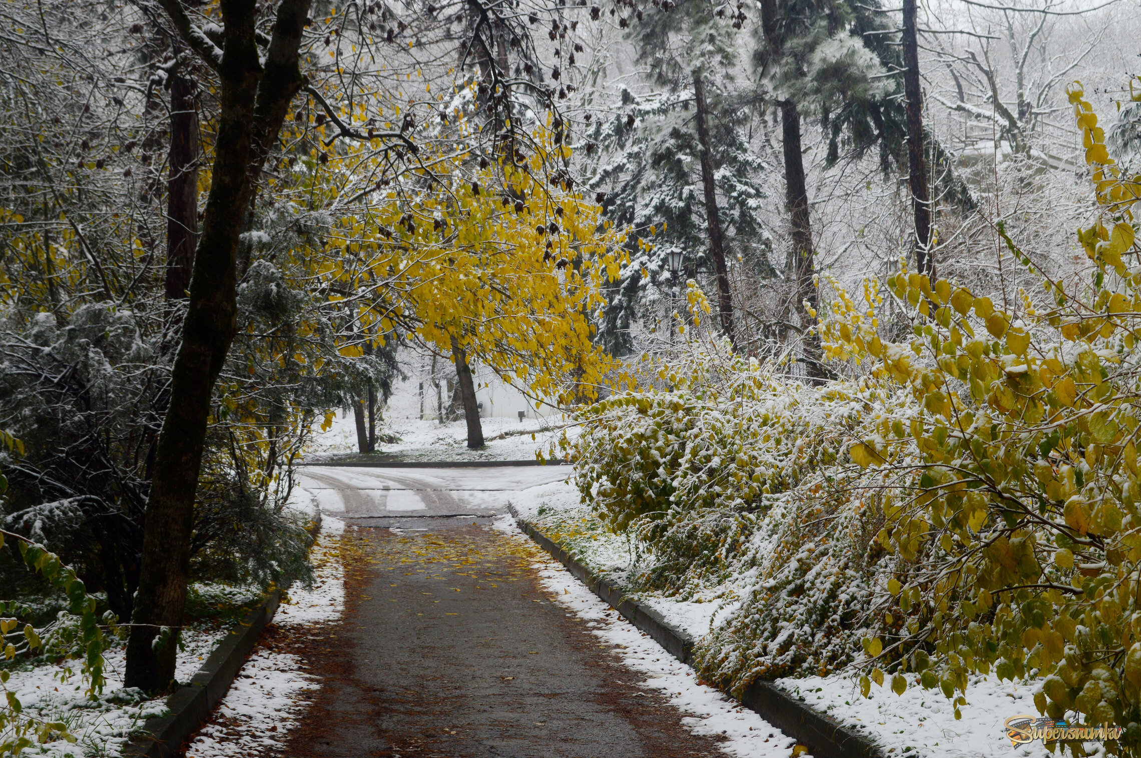 681acf51ced6f532c75bc2d6