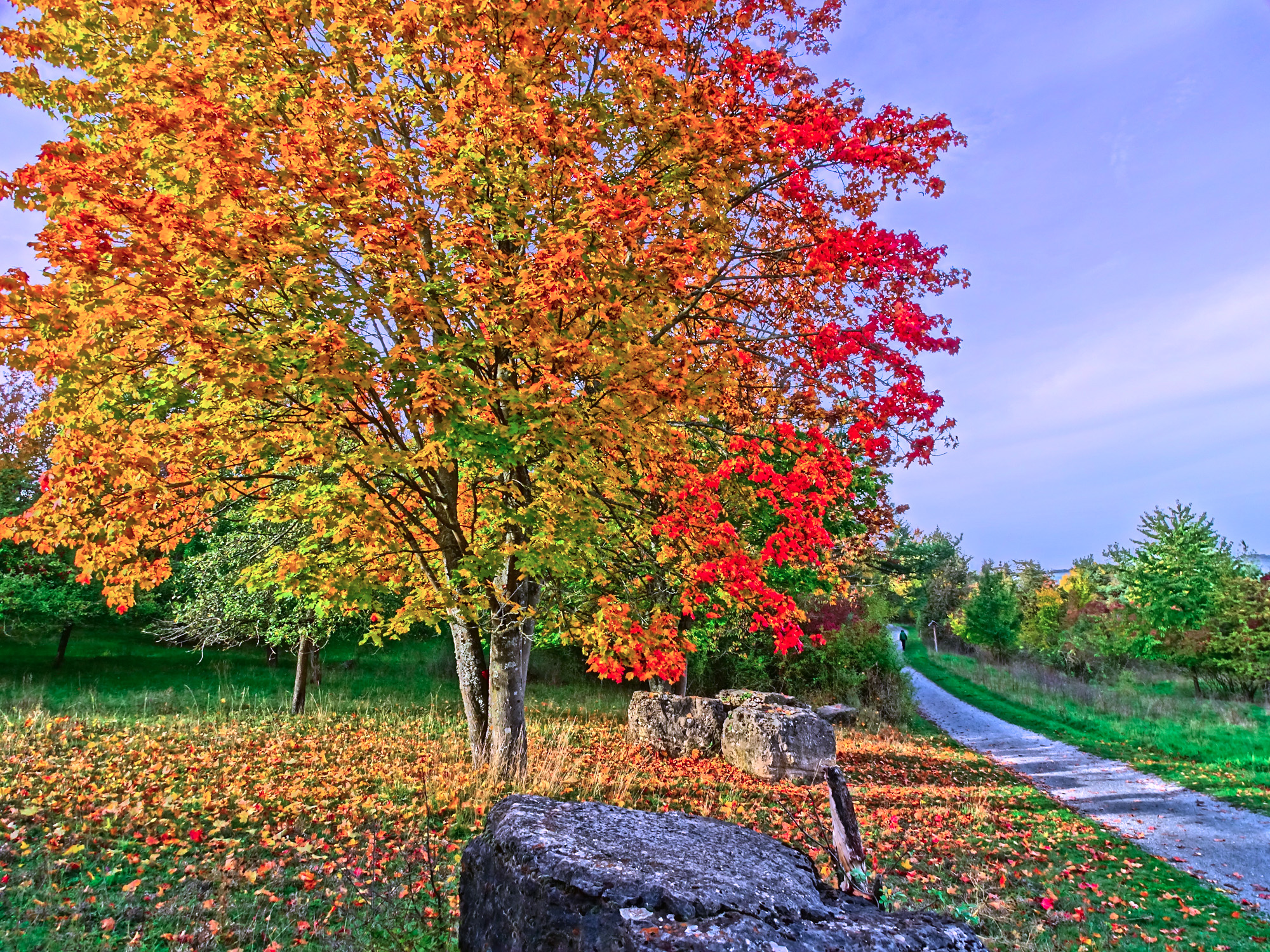 681c77218be4a3e7ce5bc2d2