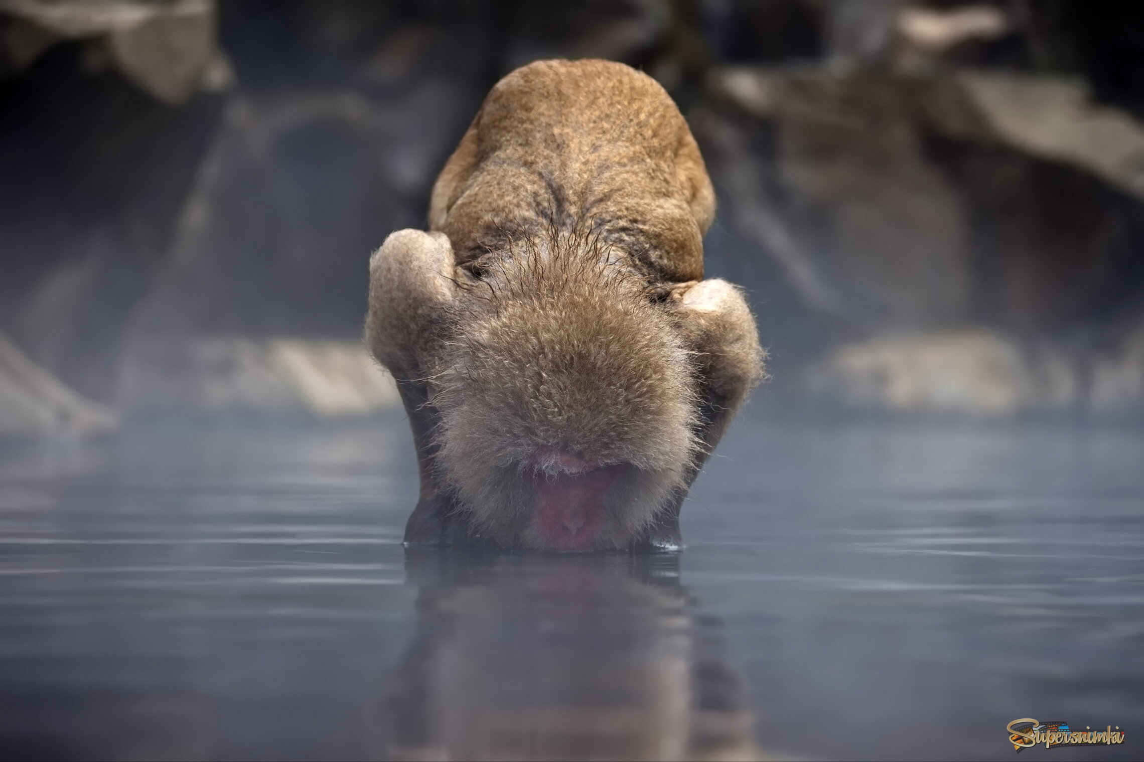 Водный ритуал