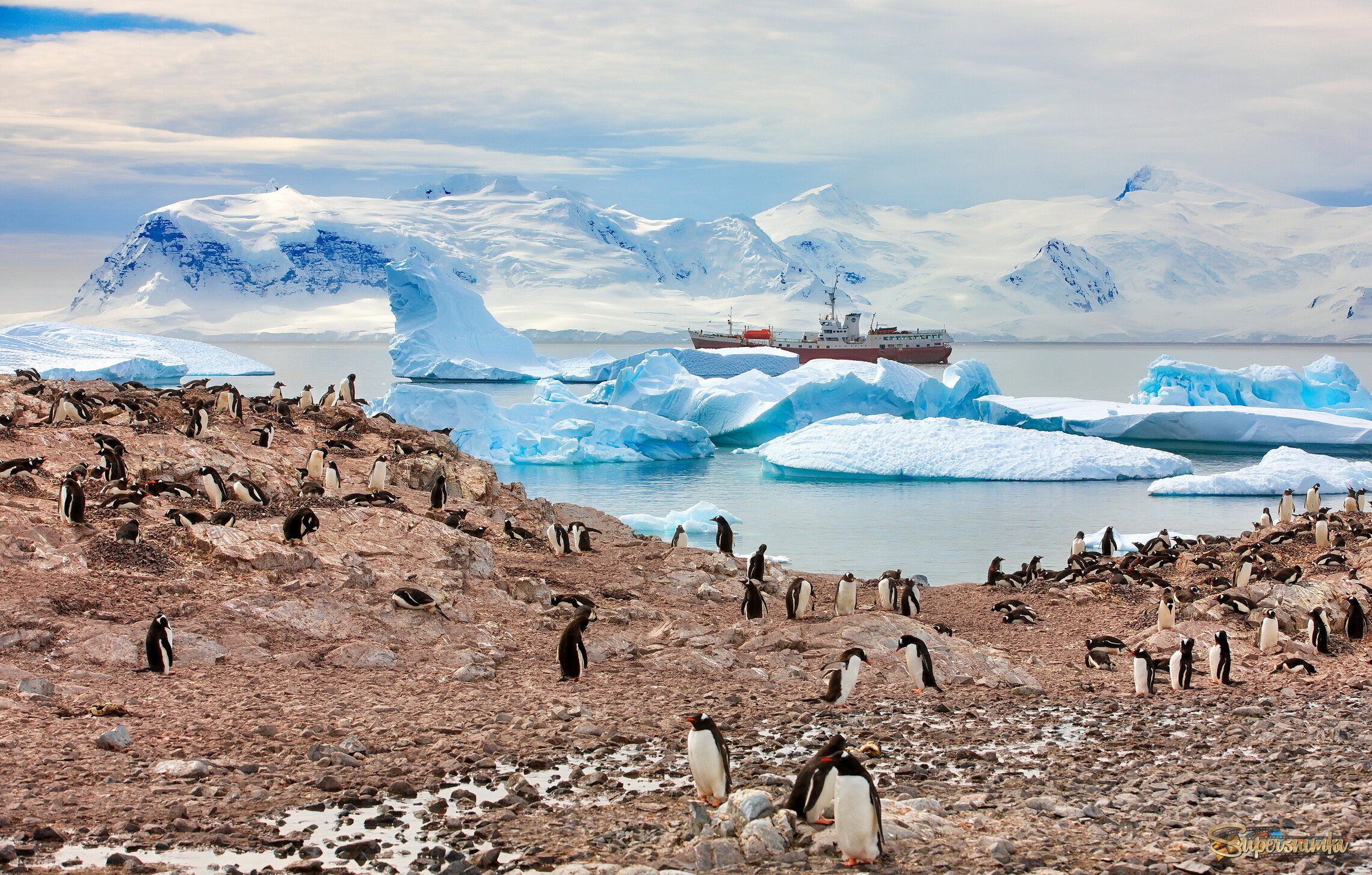 Хозяева и гости