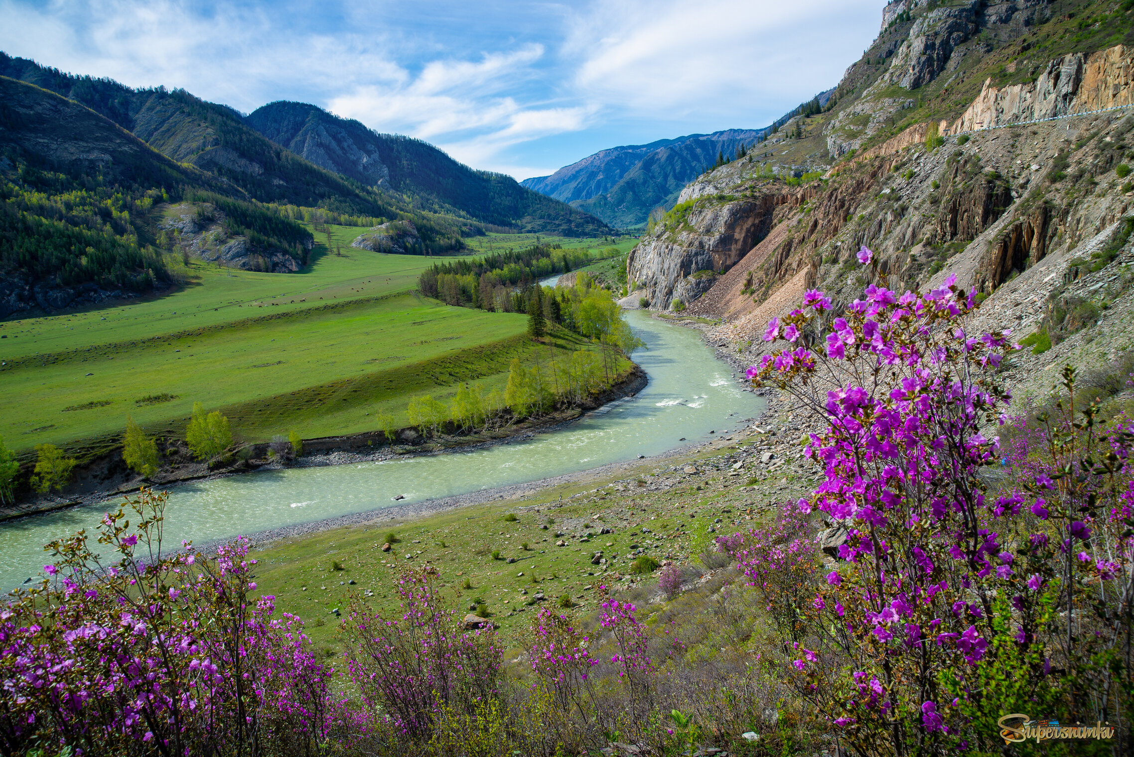 Весенний Алтай