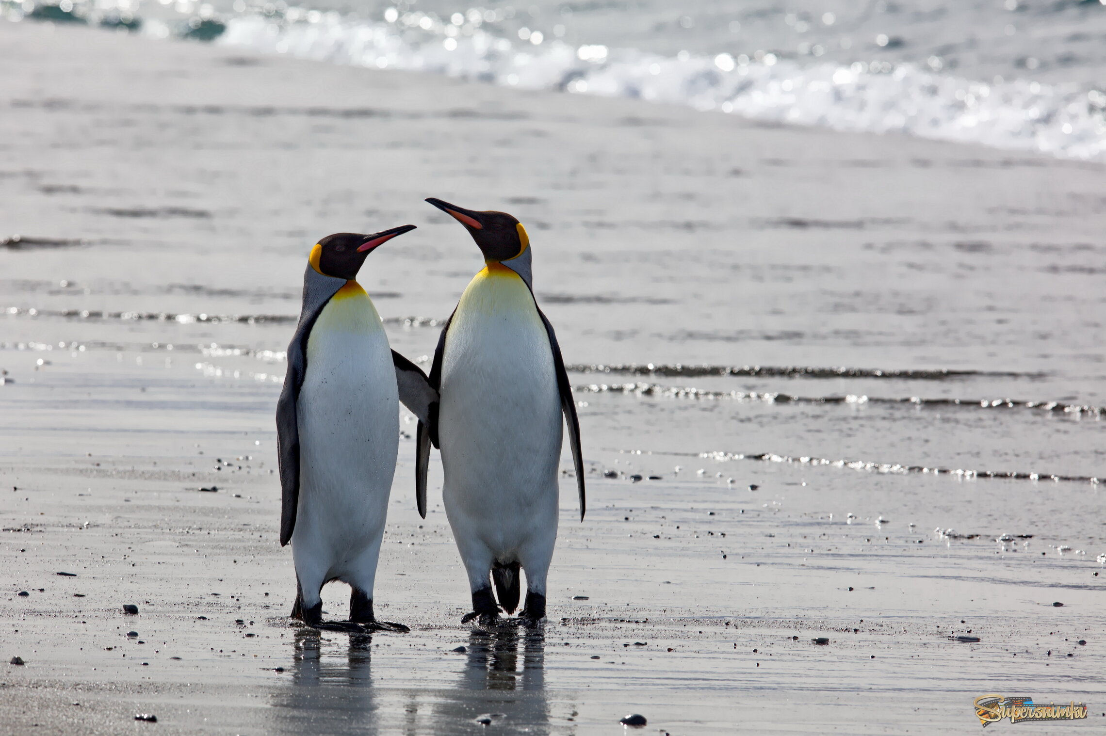 Ведь ты же меня не бросишь!?