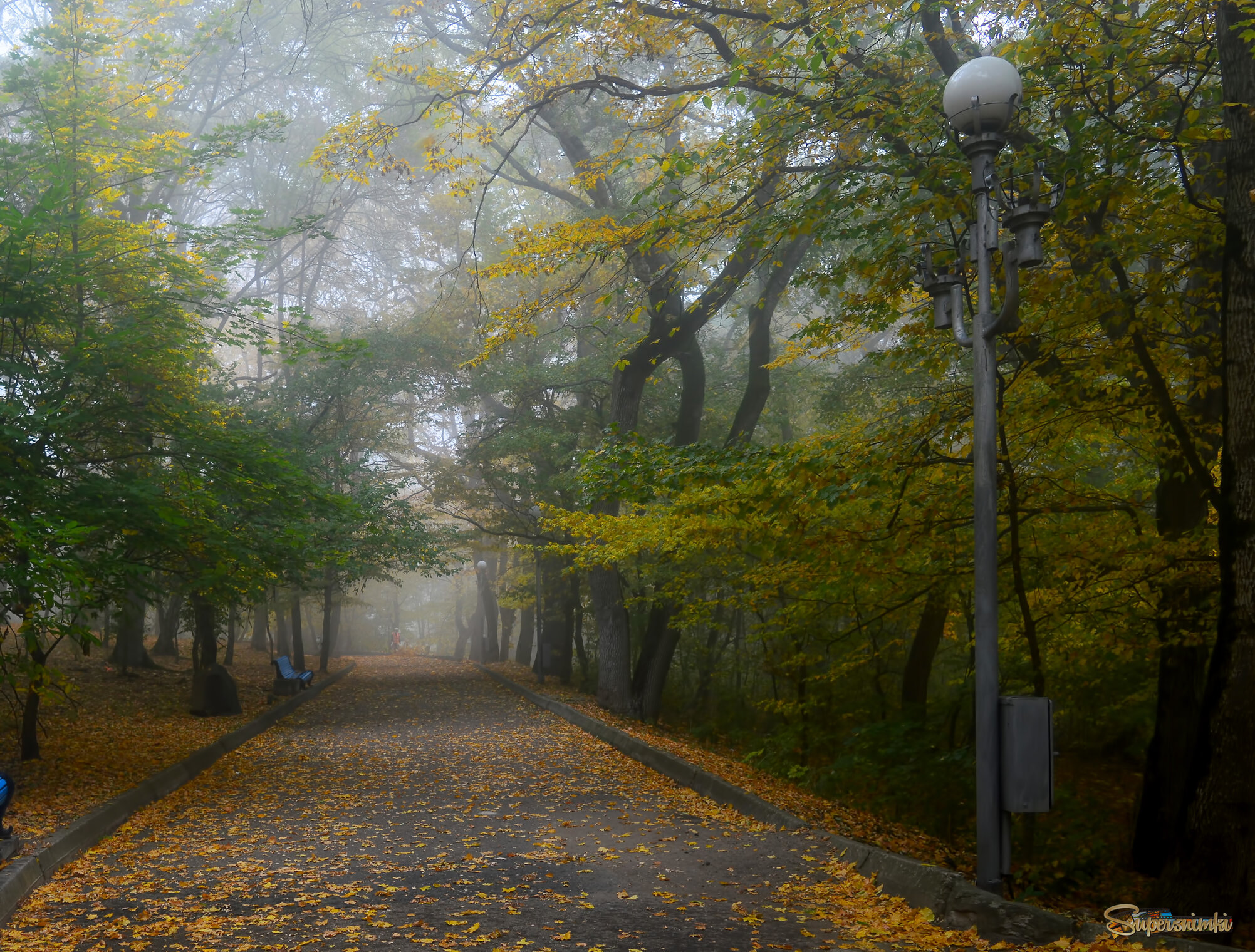 В аллеях осенних...... 