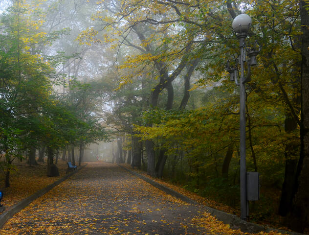 В аллеях осенних...... 