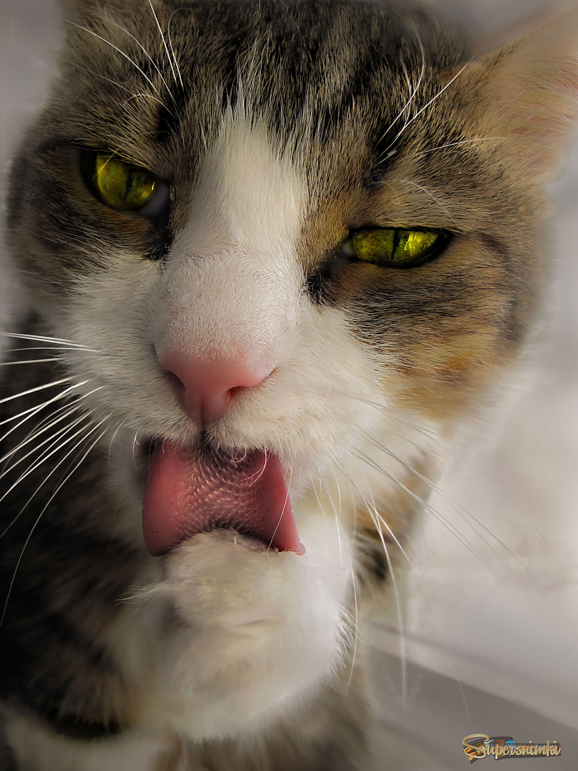 68221a38f464b6caa15bc2d3