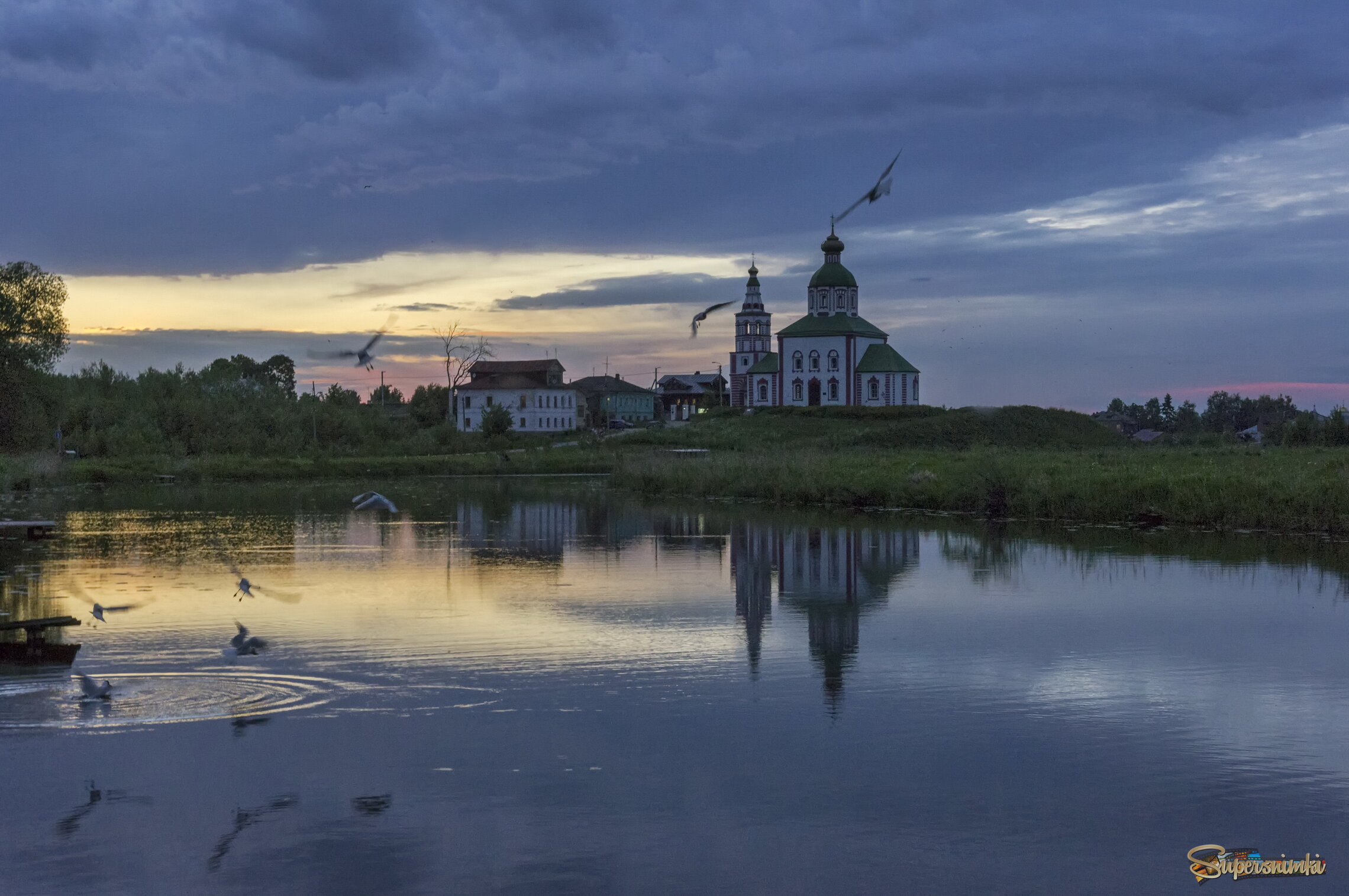 Чайки над водой