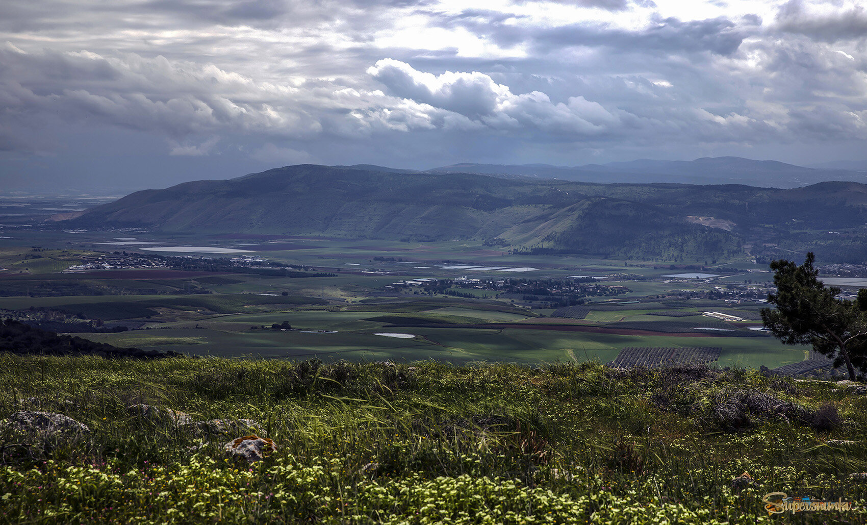 Голанские высоты