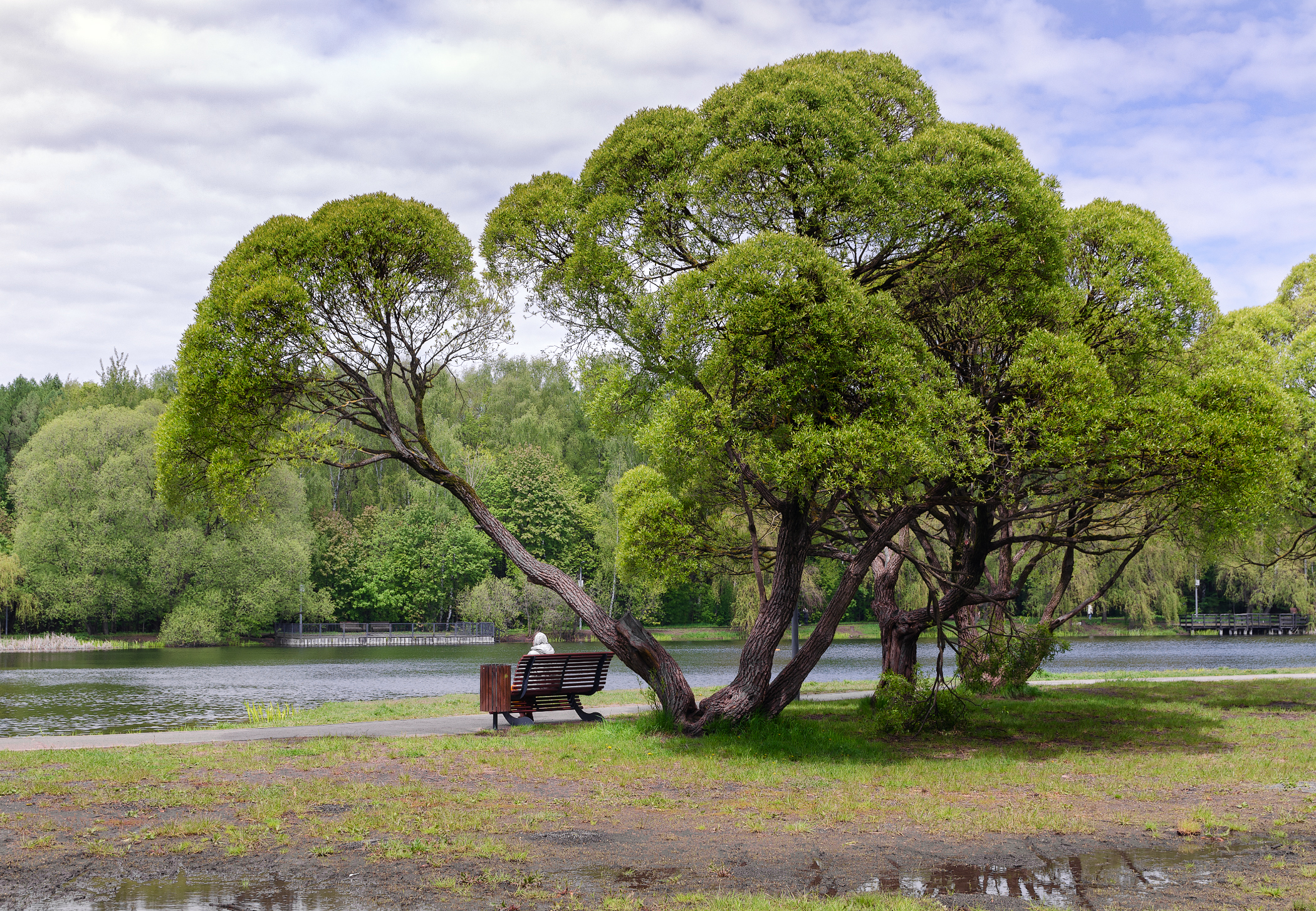 Весенний день в парке