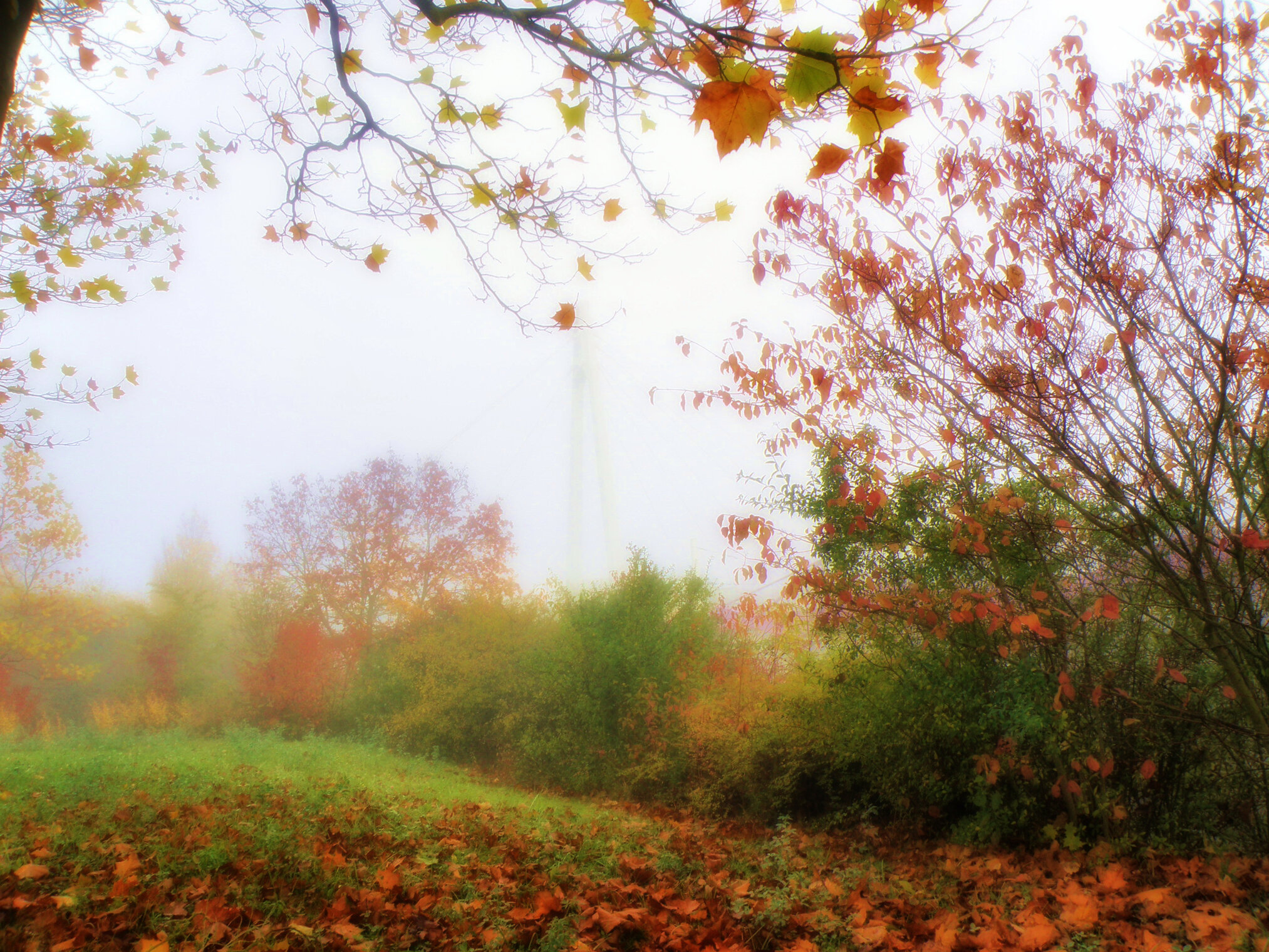 6824ae69fe18568a0f5bc2d2