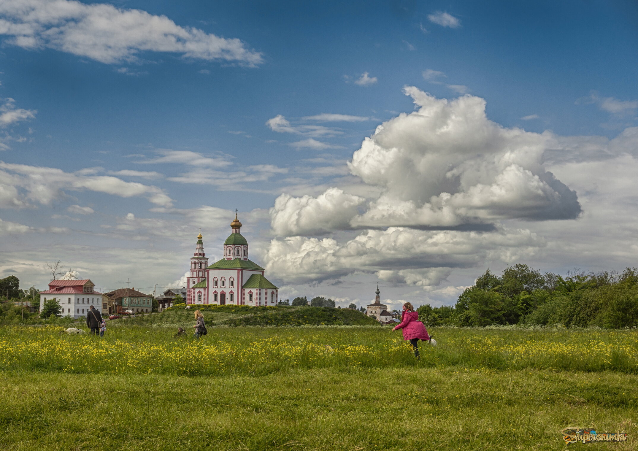 На заливном лугу
