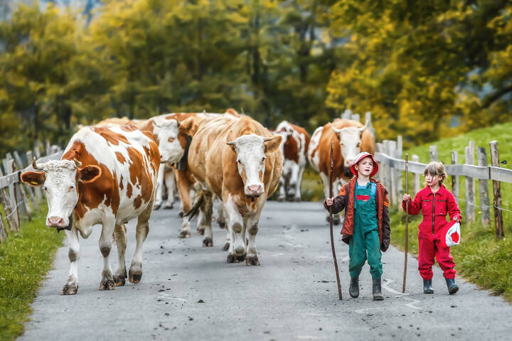 # 1