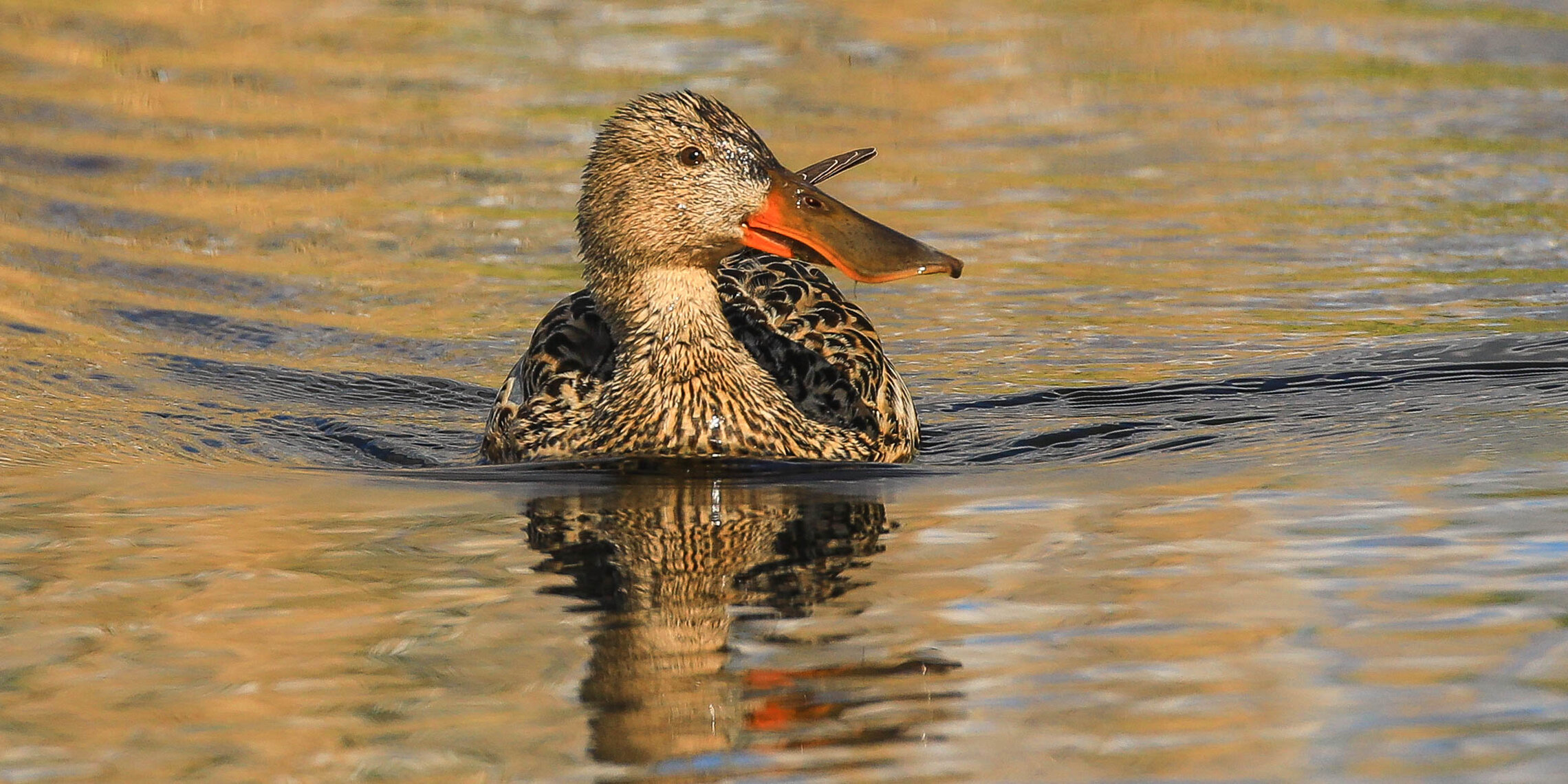 Красота кругом!