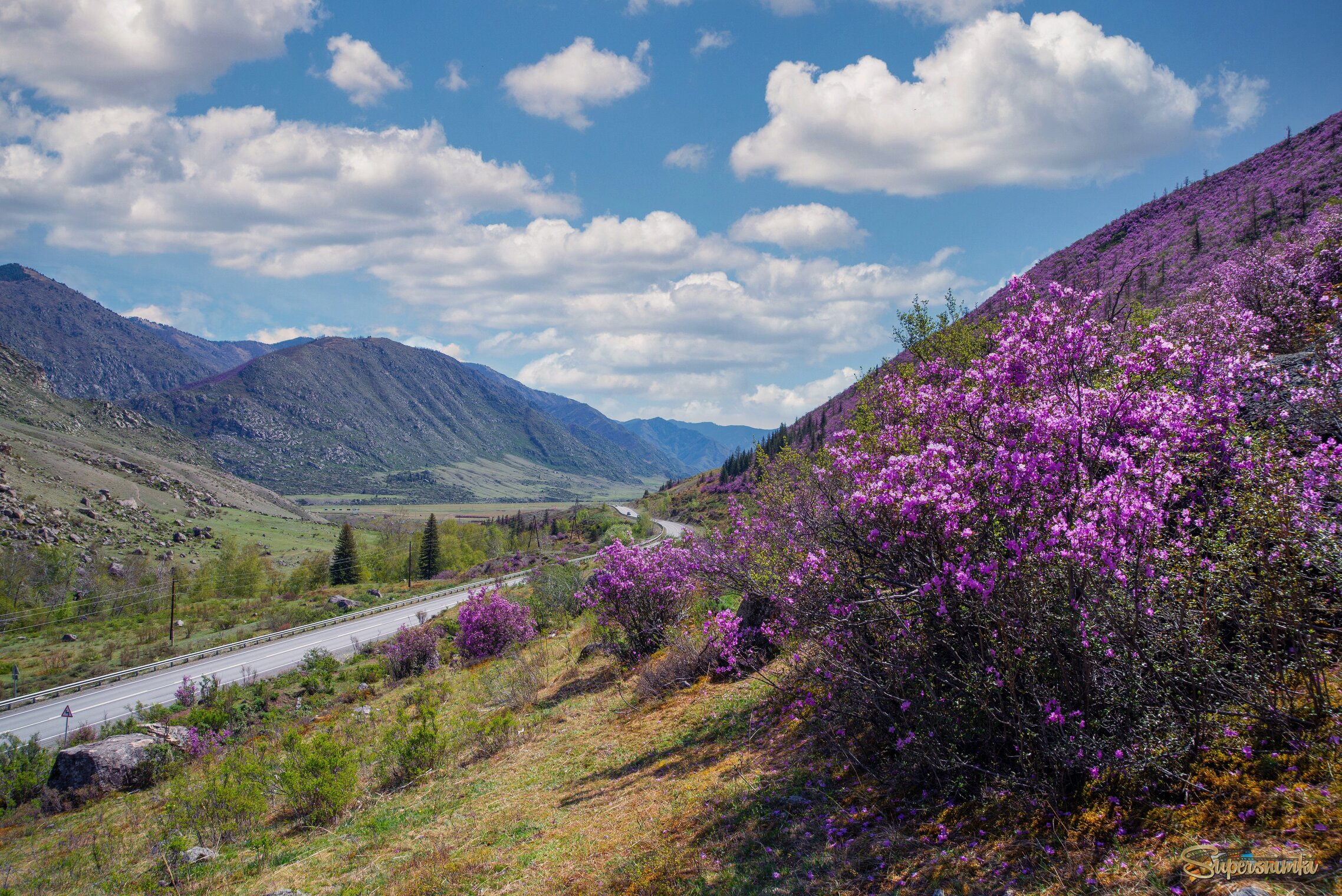 Горный Алтай
