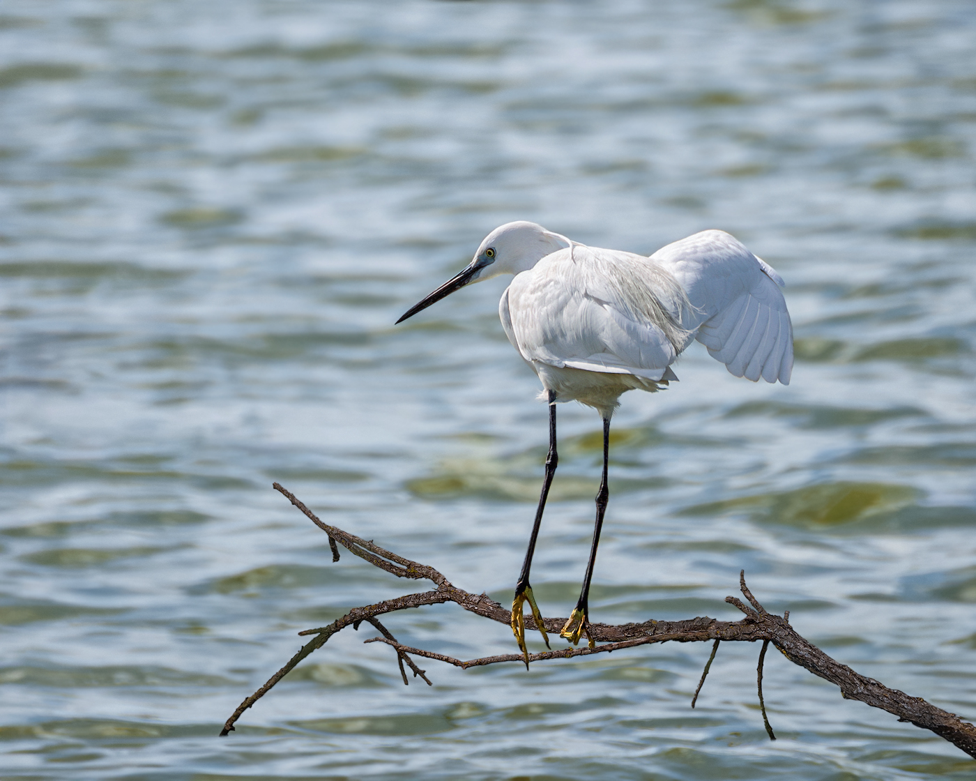 Балансирование