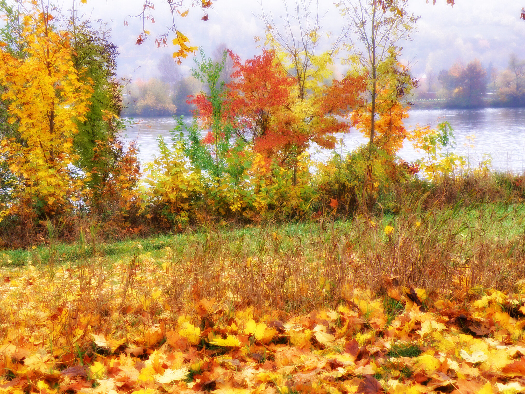 Туманы осени.