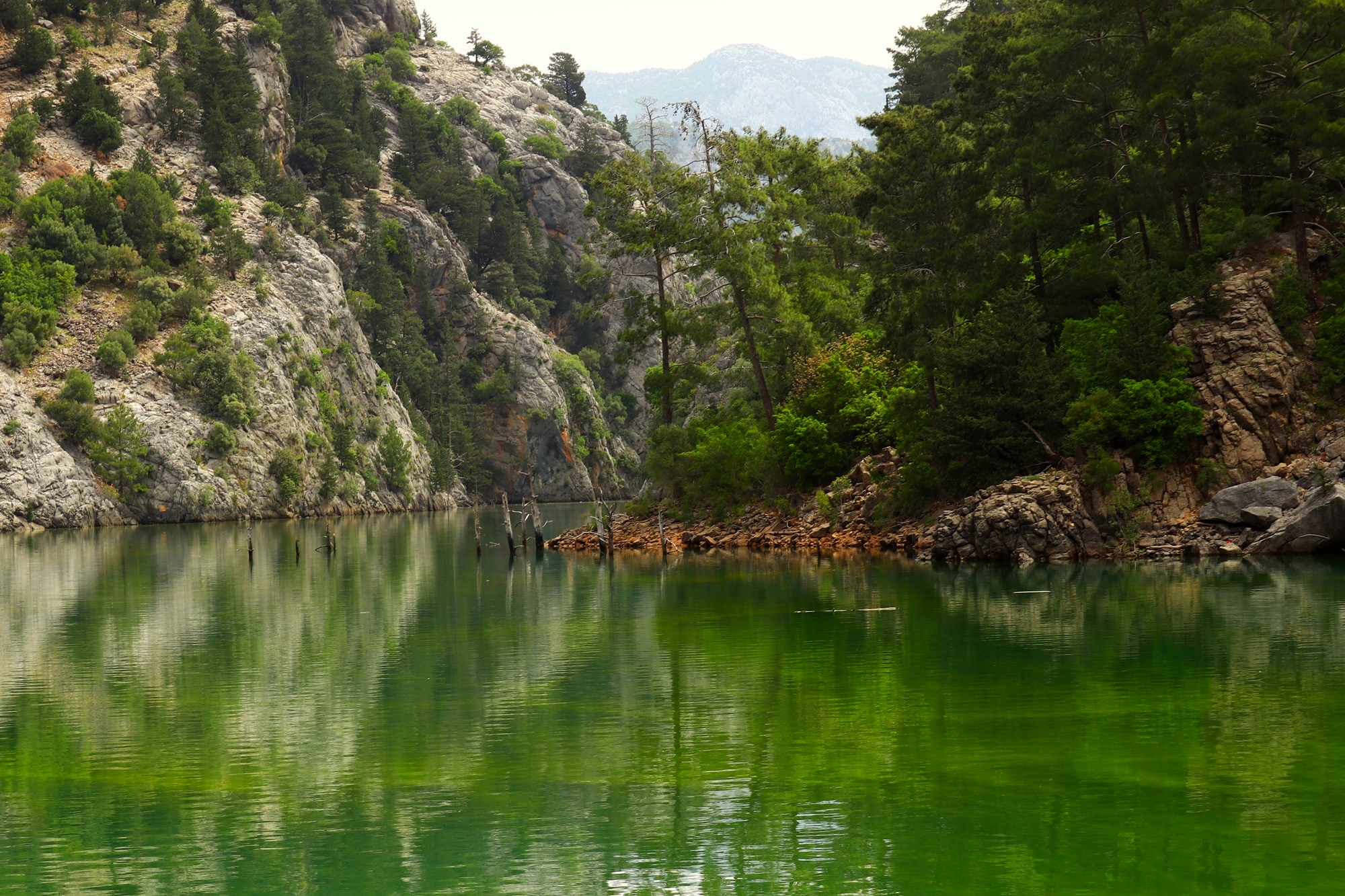 Зелёные воды каньона