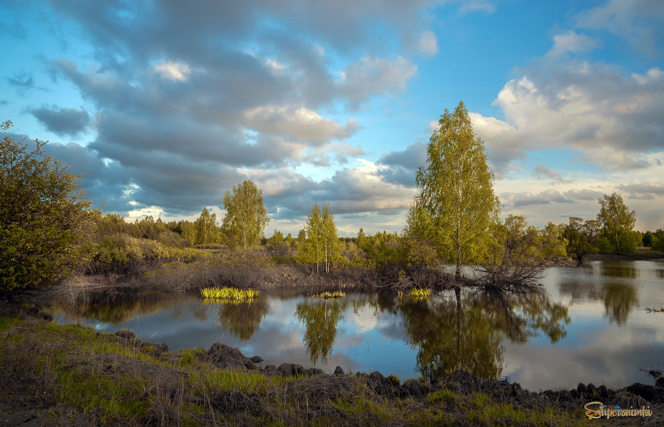 Весенний вечер
