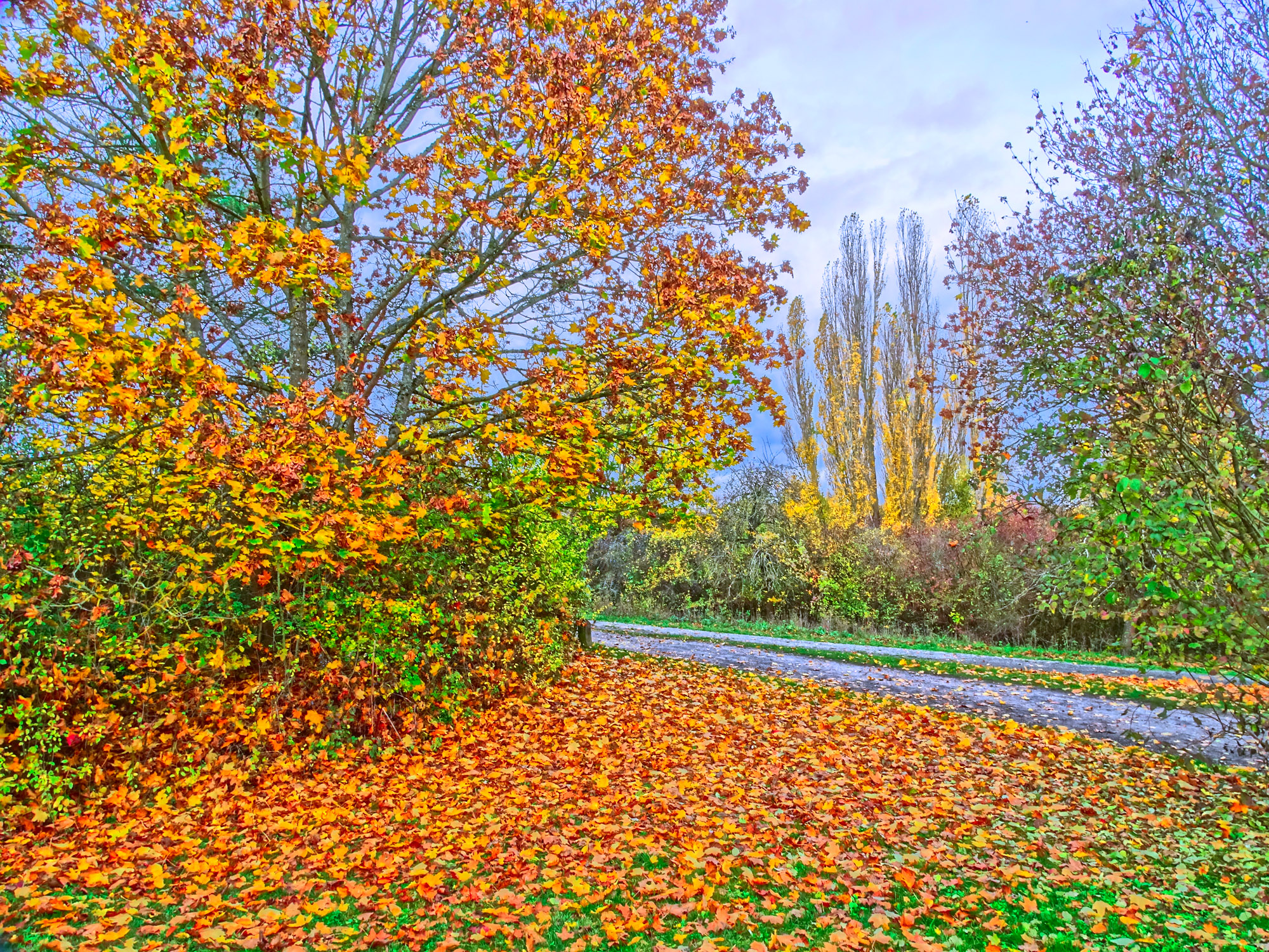 682c44338e8c336685325610