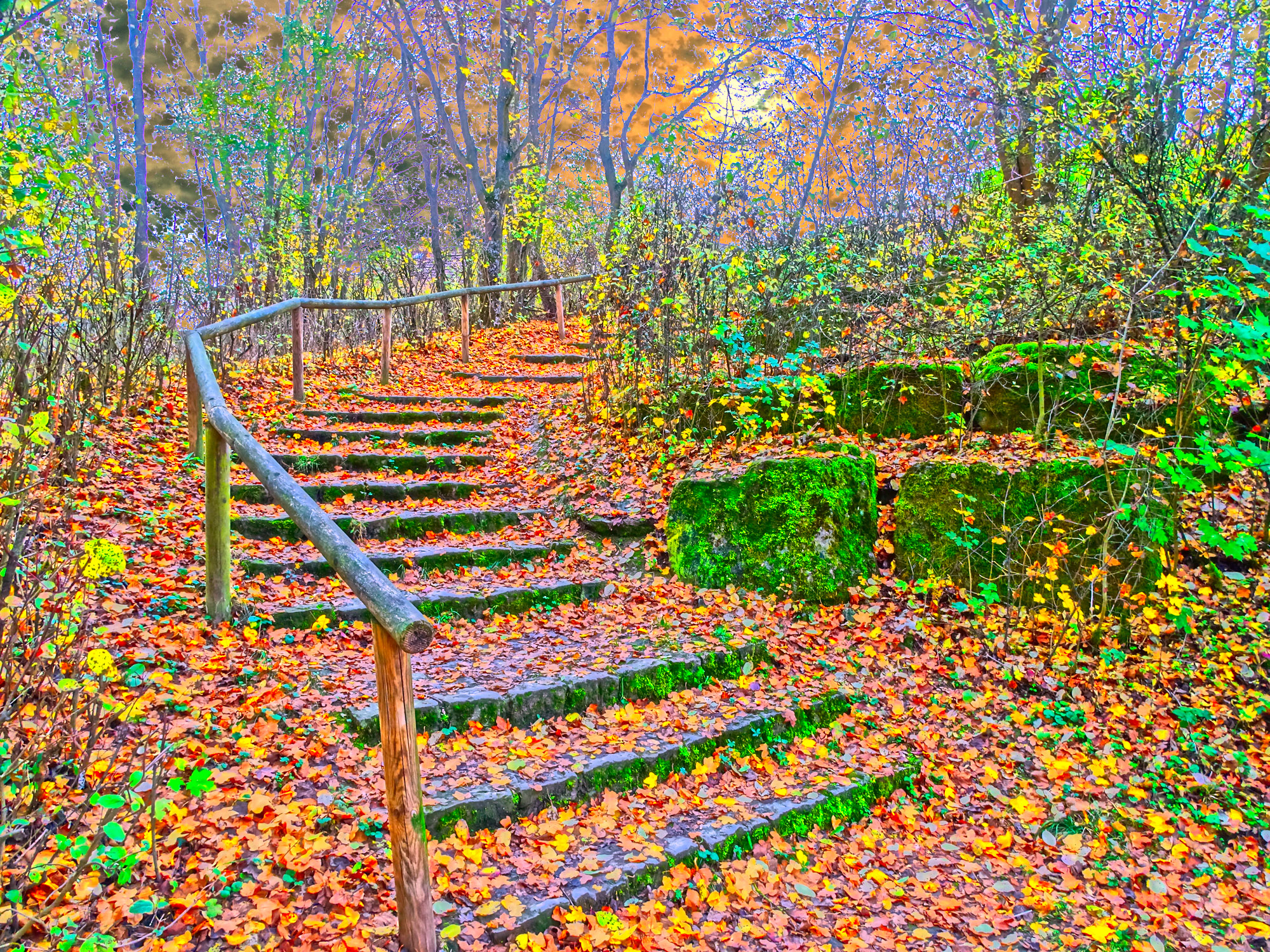 682c4441d774b61fd4325610