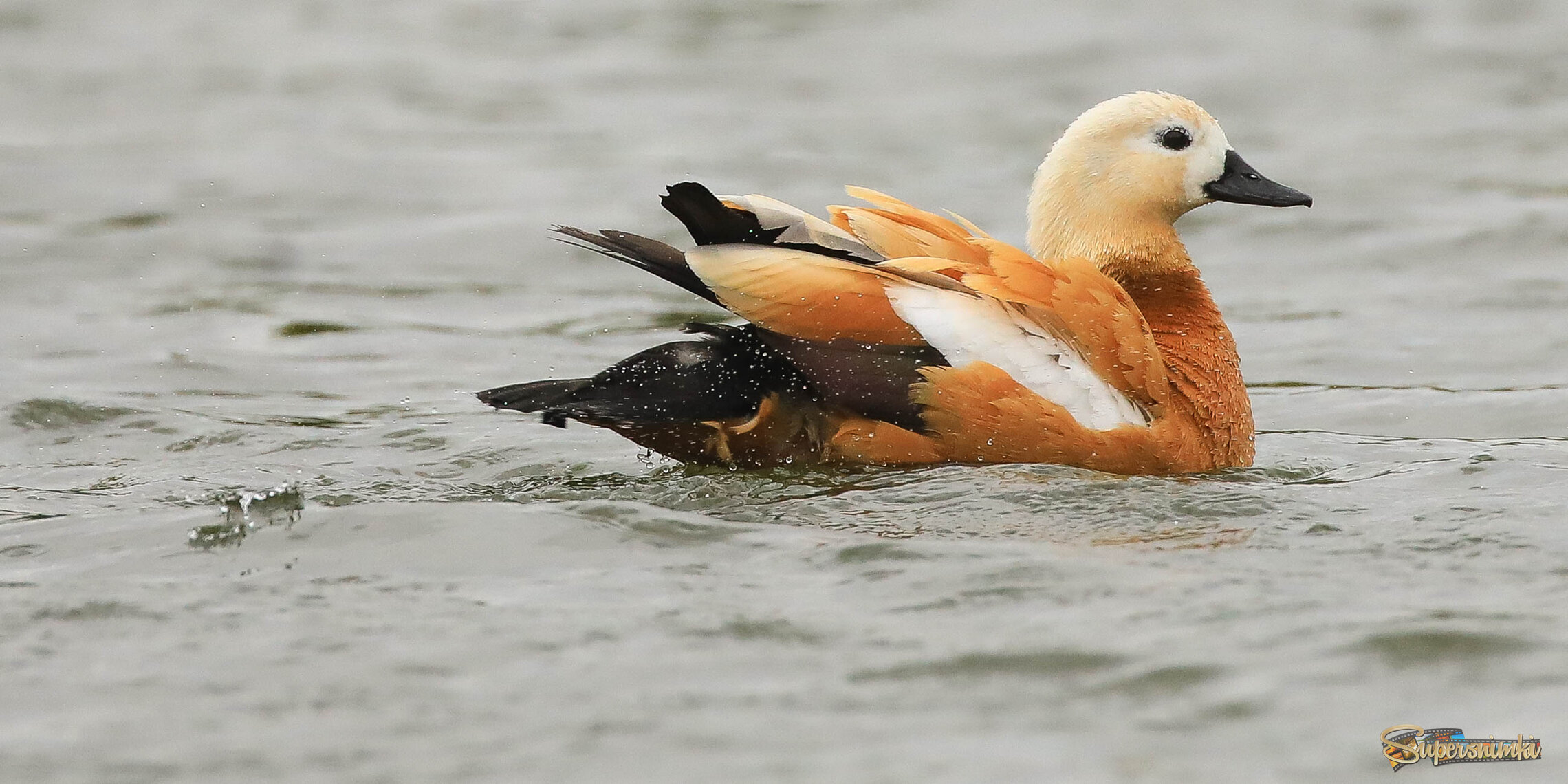 Непогода не страшна! 