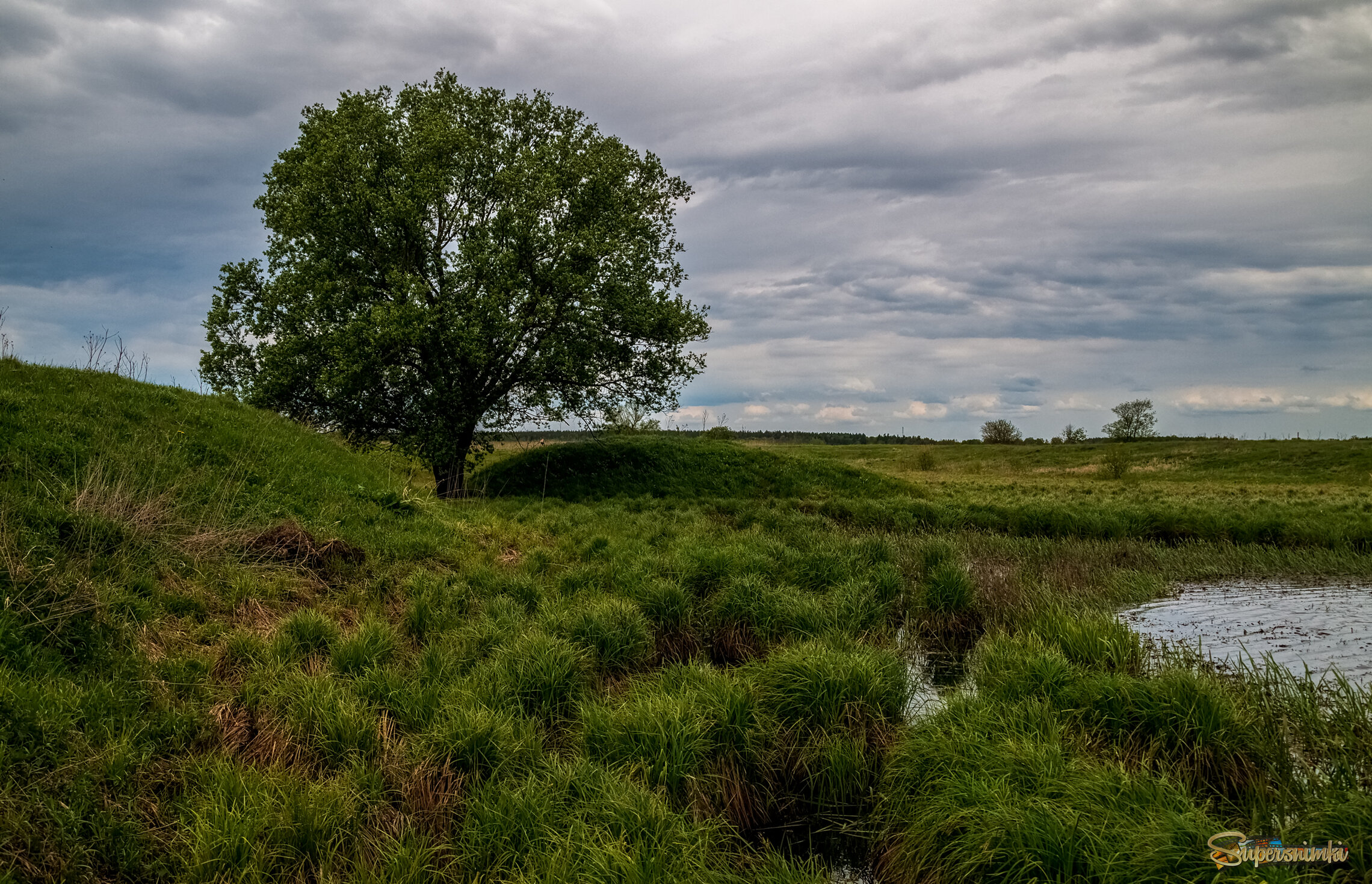 Утро на Клязьме 4