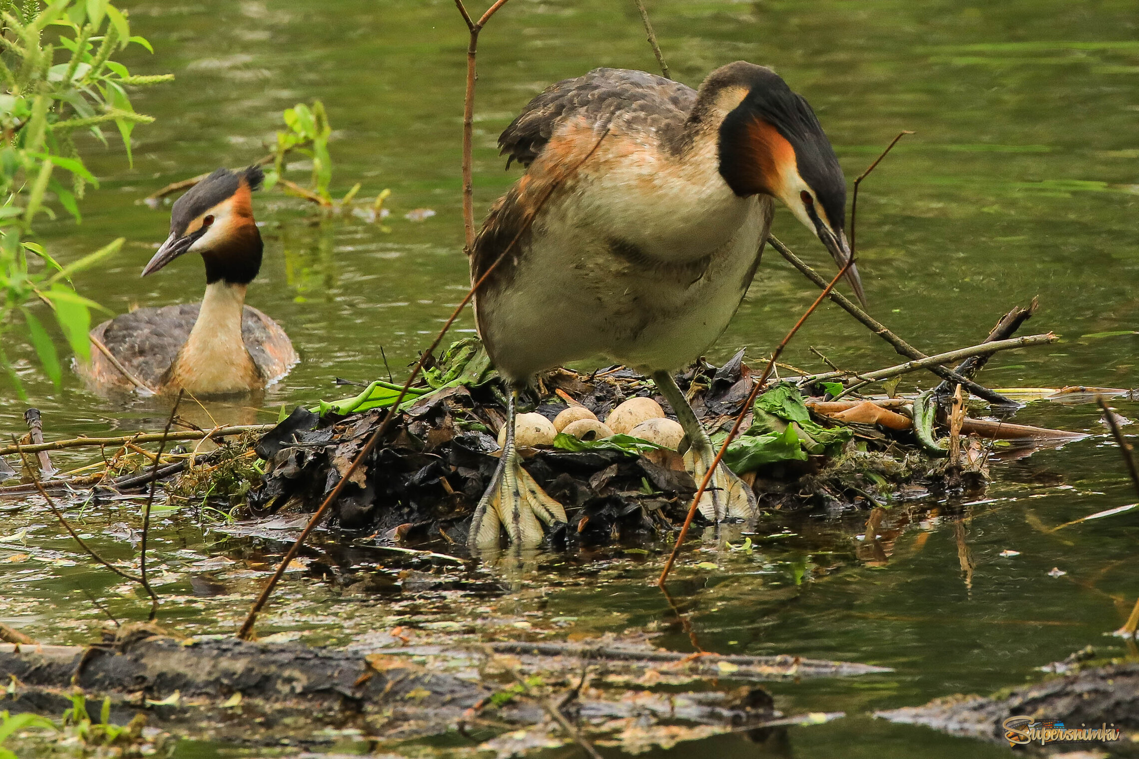 Пора отдохнуть!