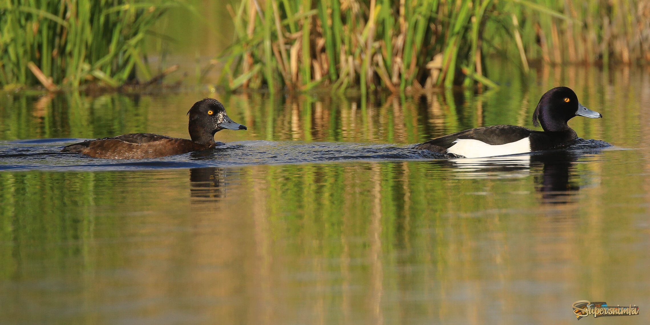 Мы такие разные!