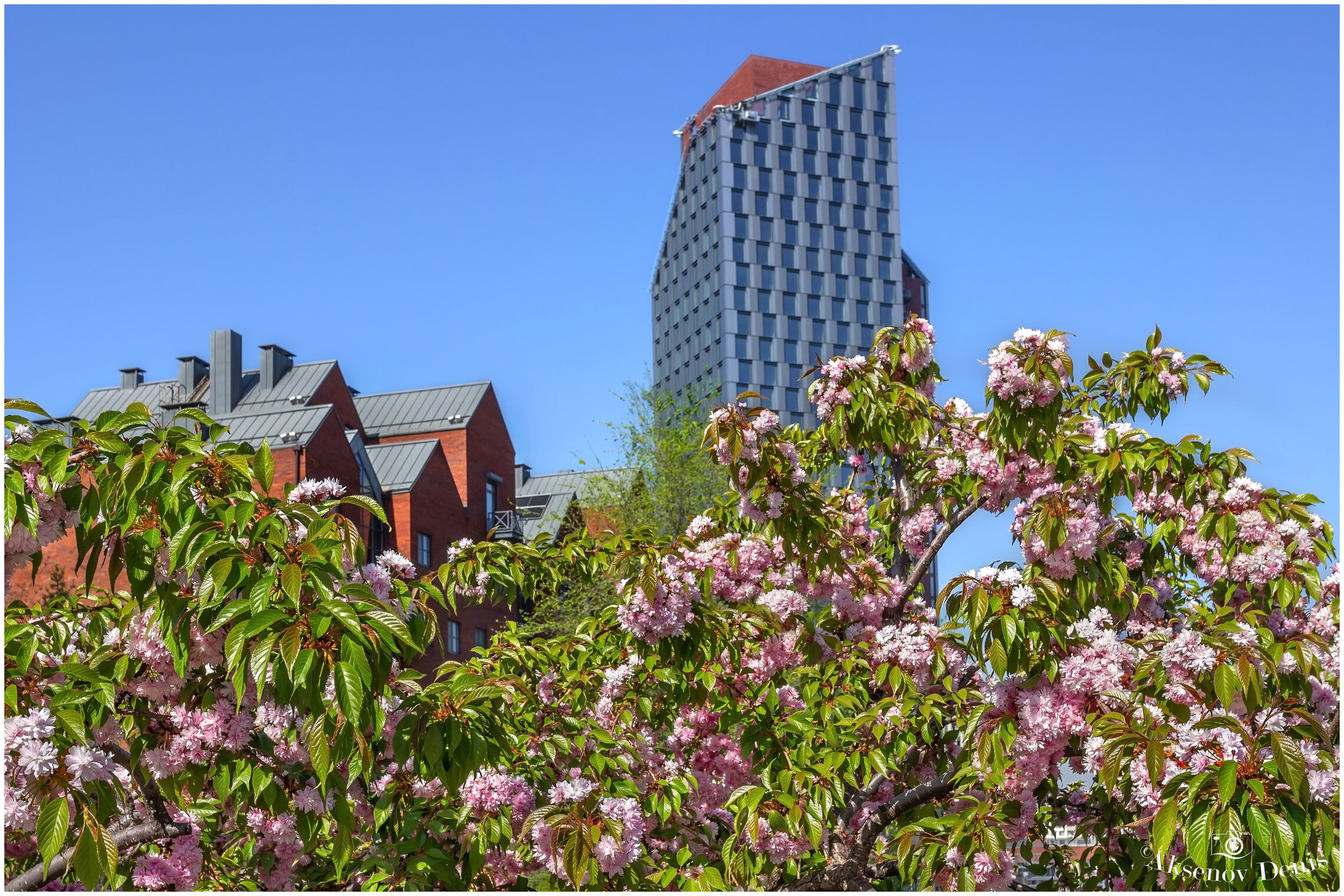 Весенний Днепр