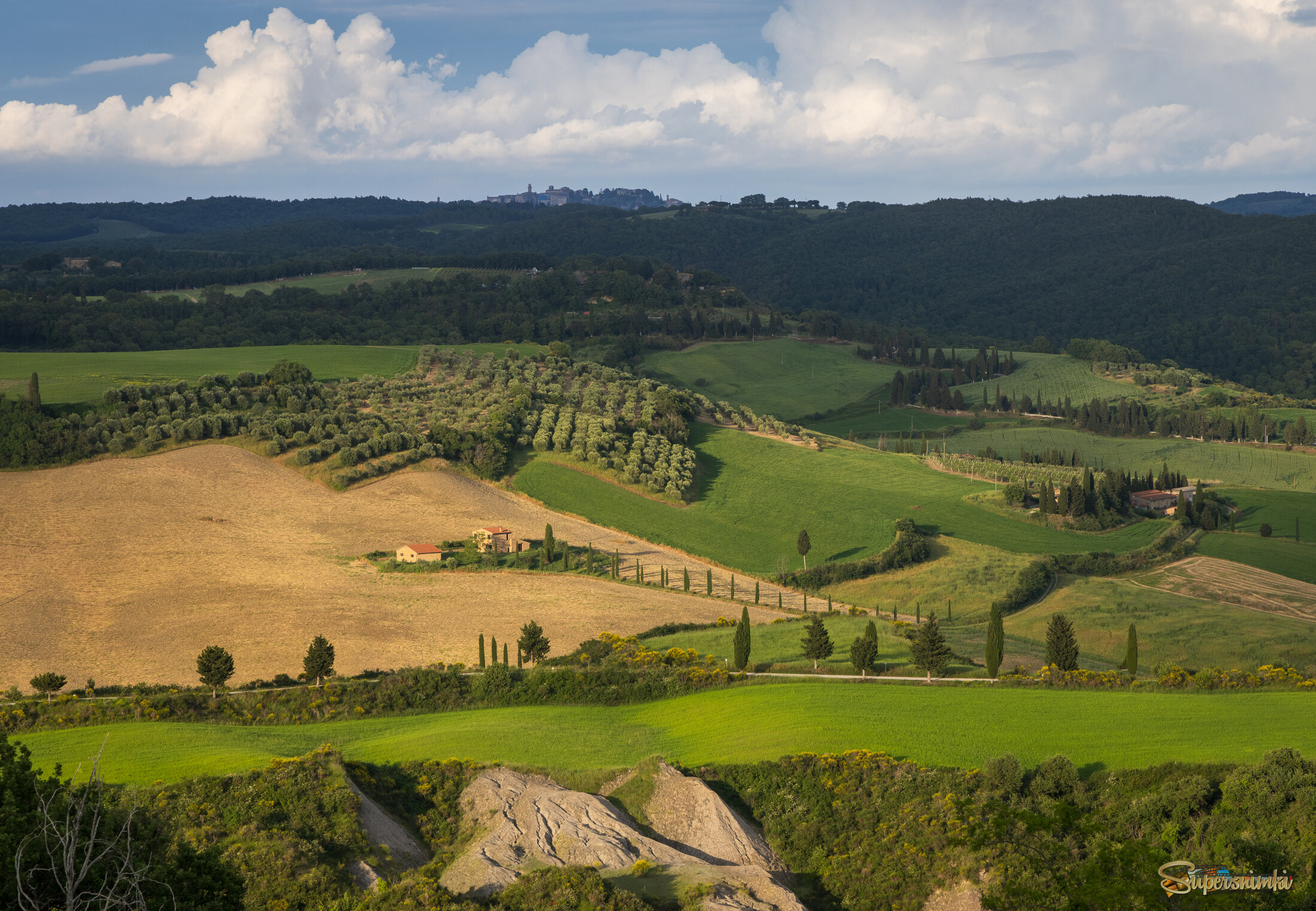 Весенняя панорама