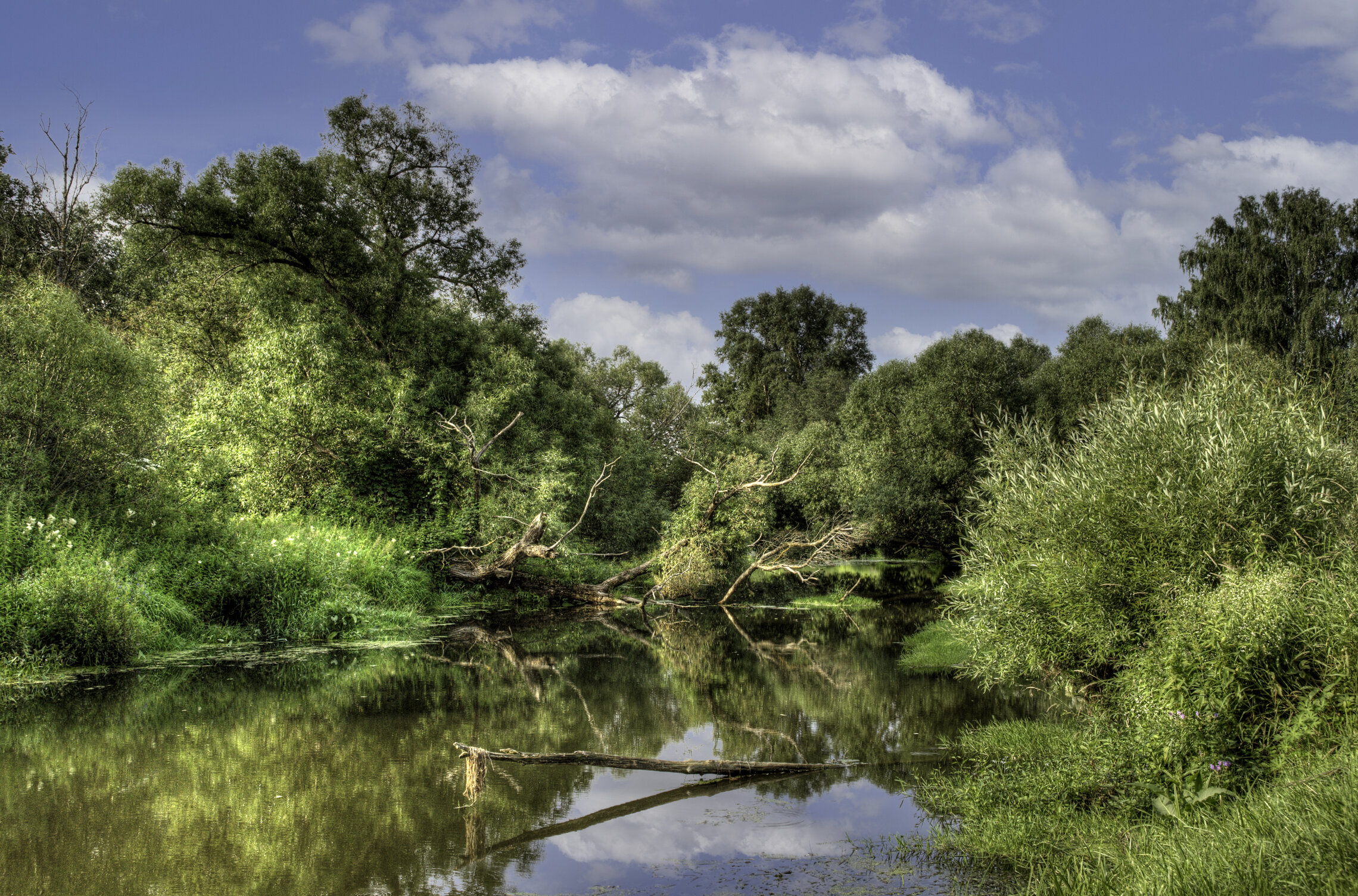 Река Колпяна