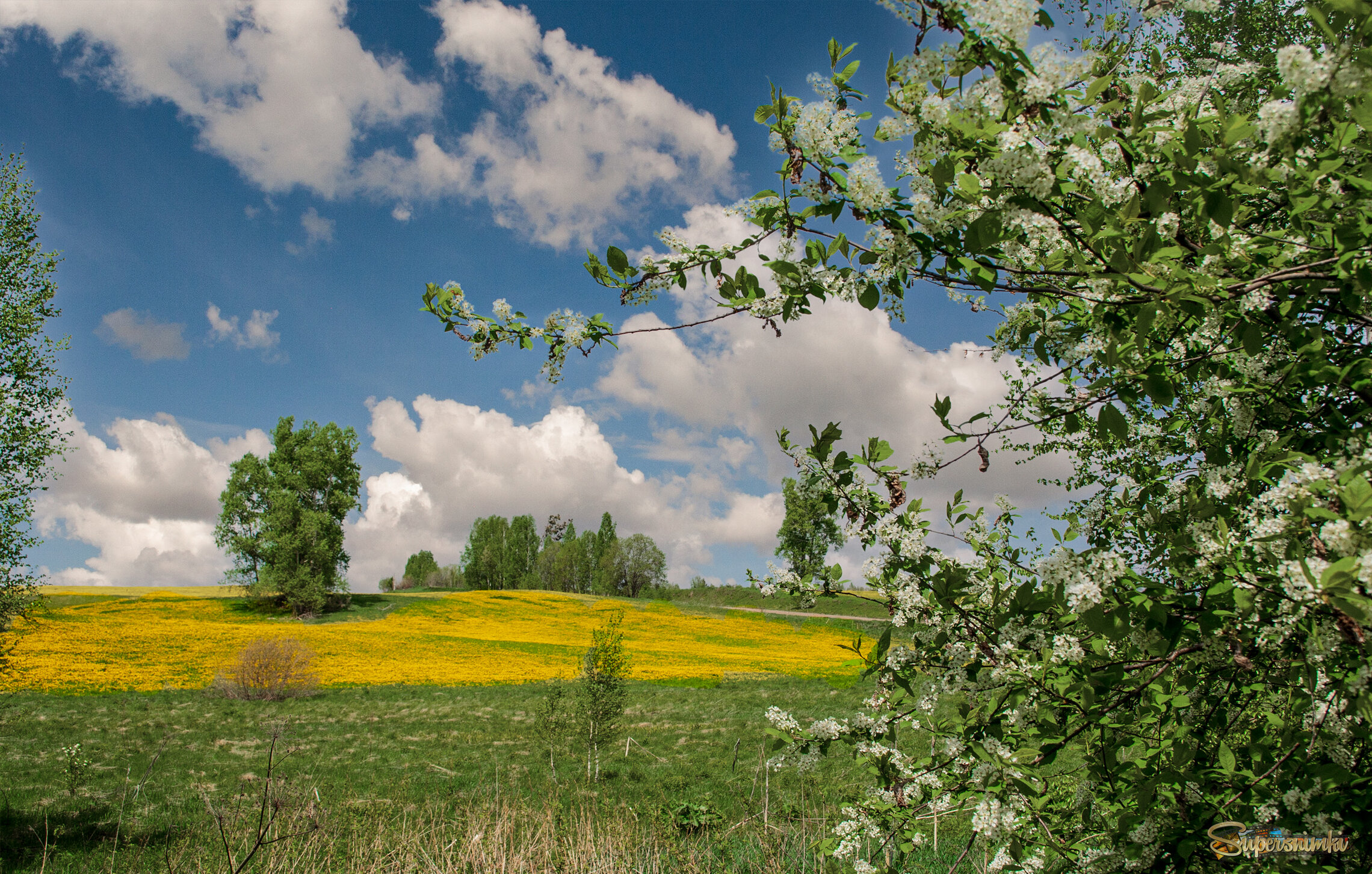 Цветущий май
