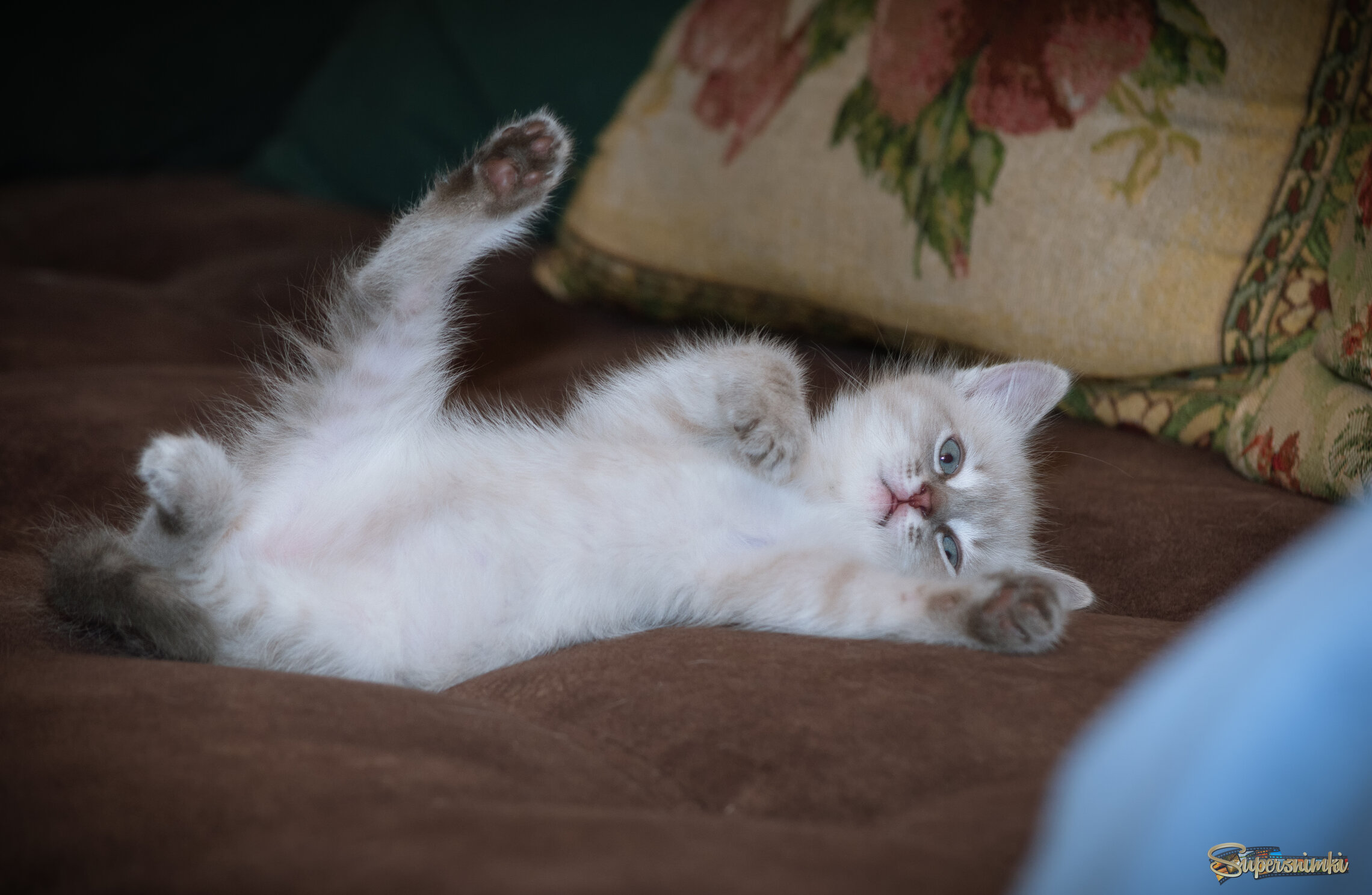 КОМУ ЕЩЁ ДОБРОЕ ДЕЛО СДЕЛАТЬ!   :-)