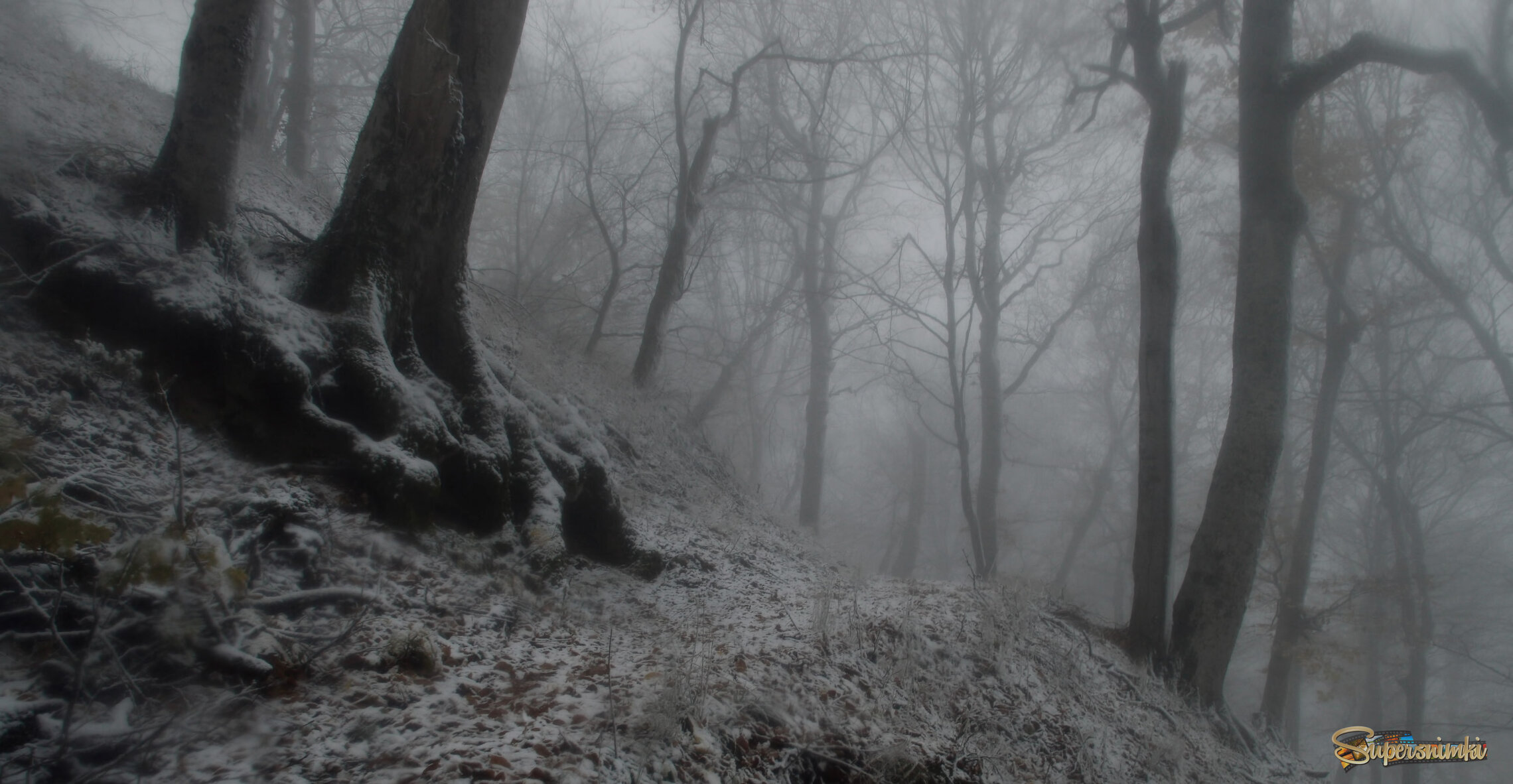 Метель в горах...........