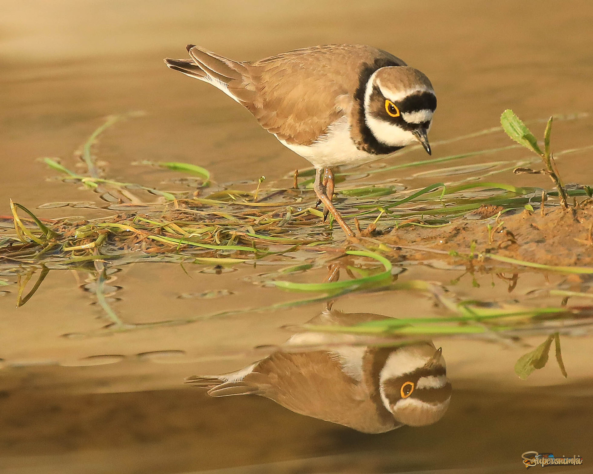 Кто это там такой красивый?
