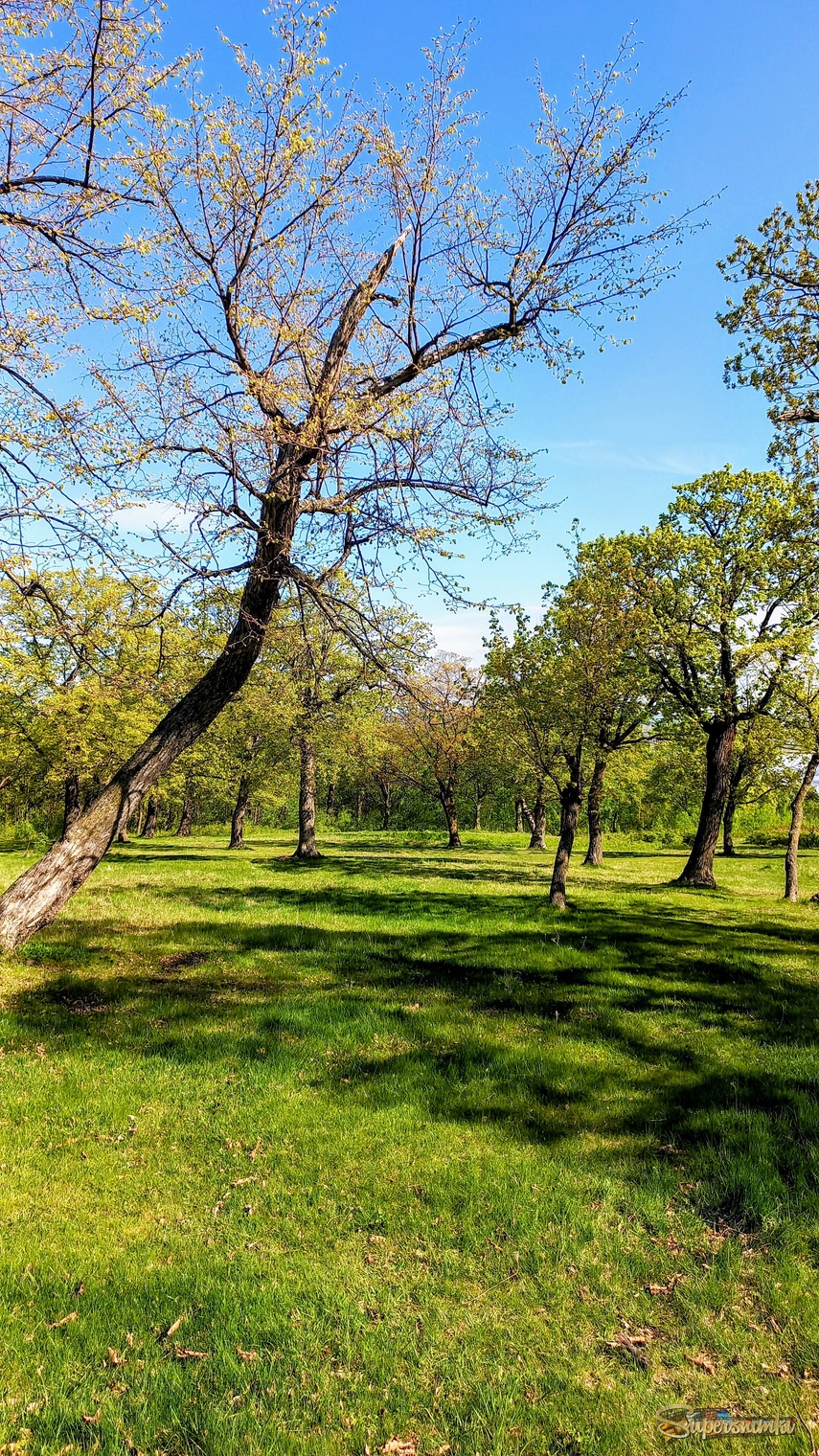 683245349d2786b25f6389b0