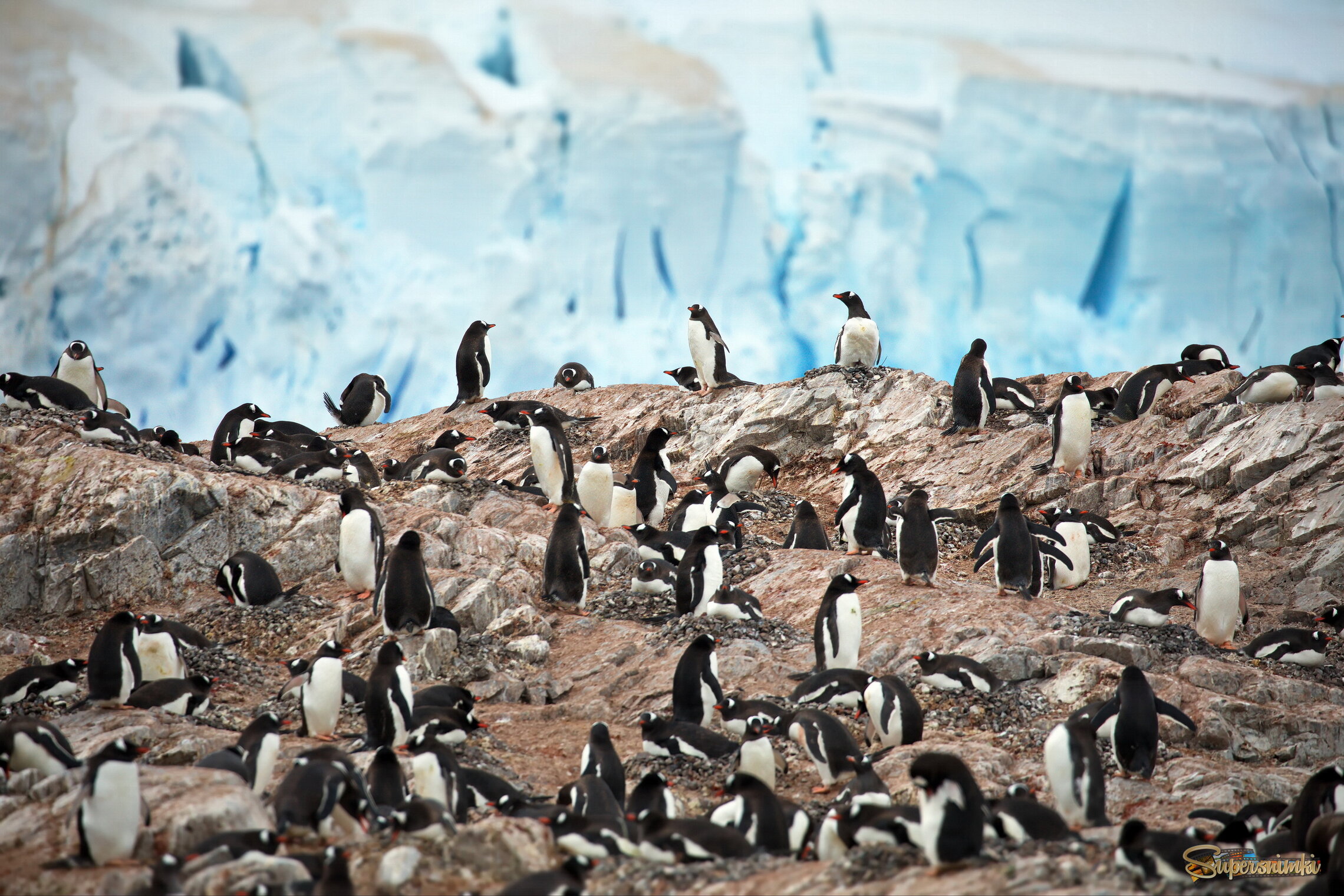 Земля обетованная