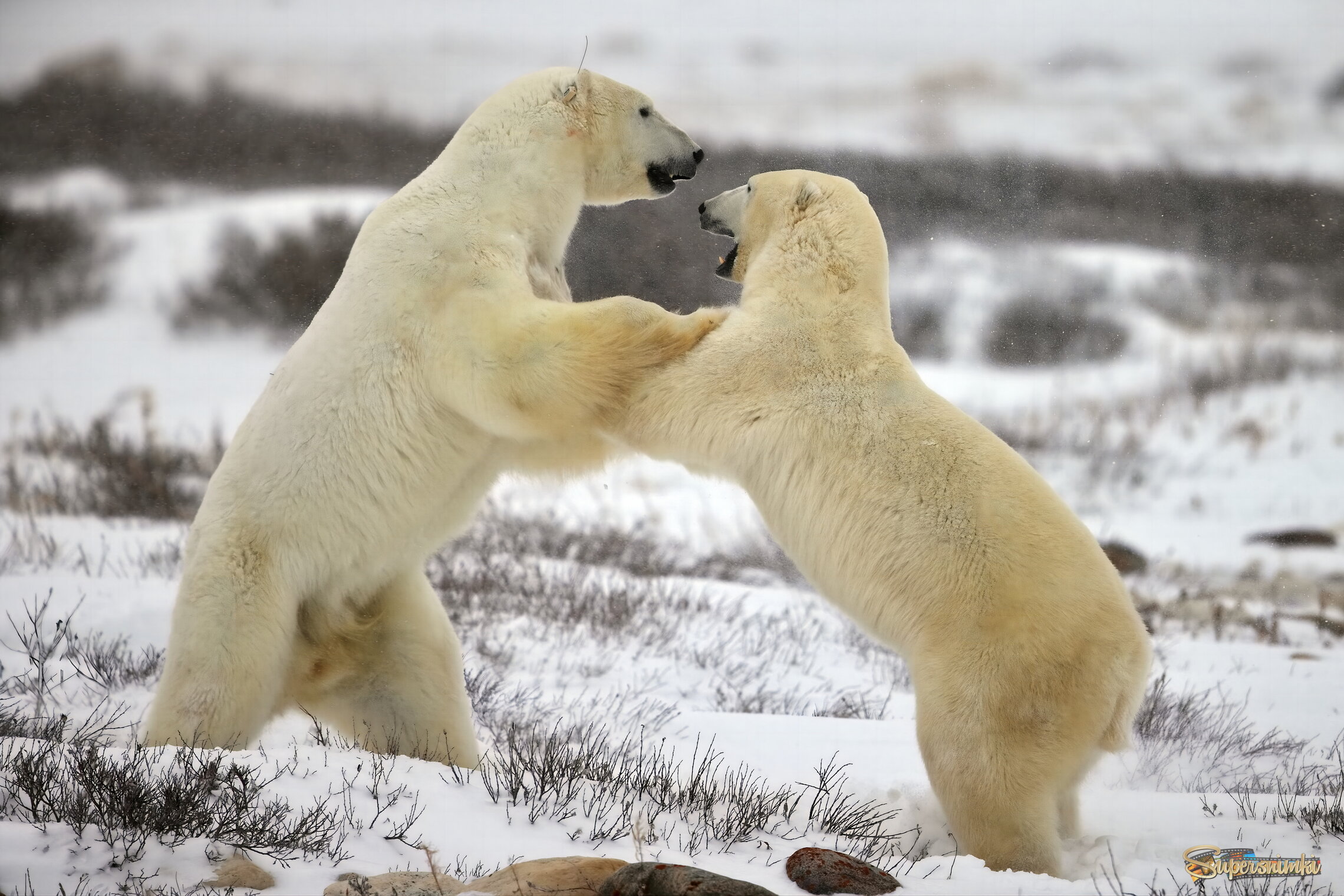 Погоди, мы еще не договорили!