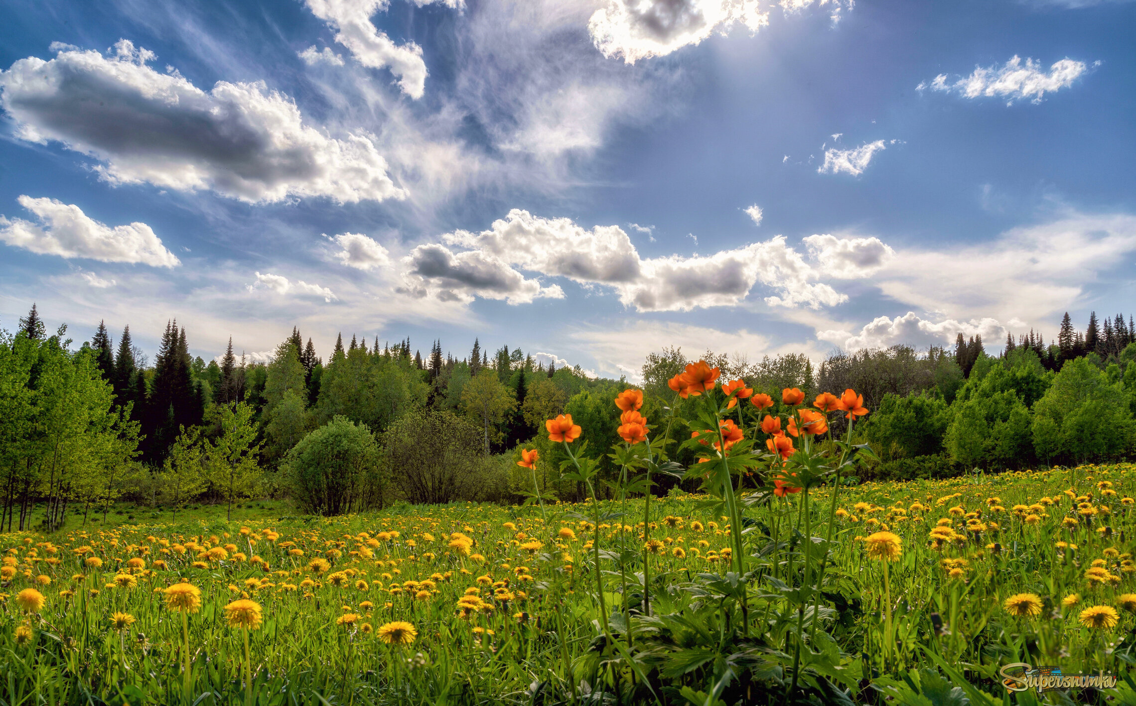 Майская поляна