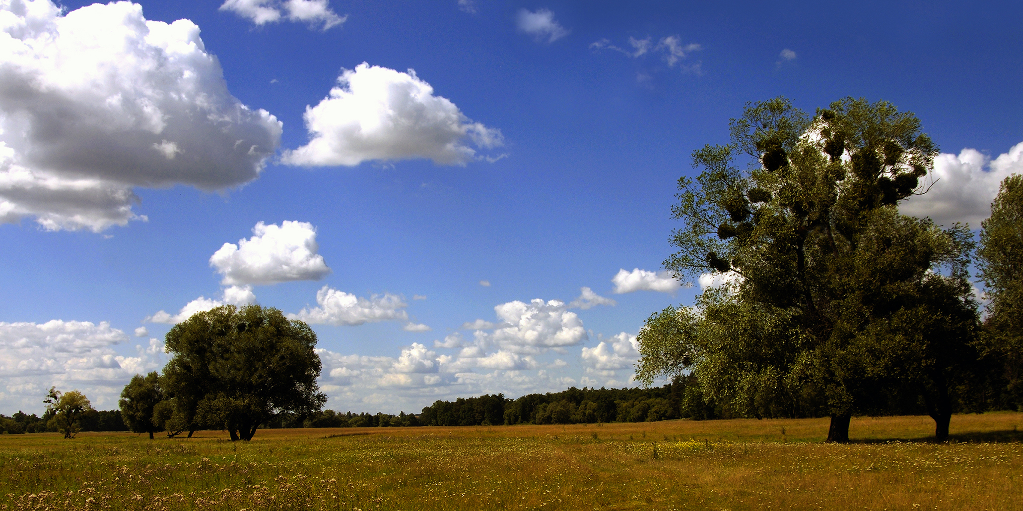 Ukraine Volodarka Zagreblya