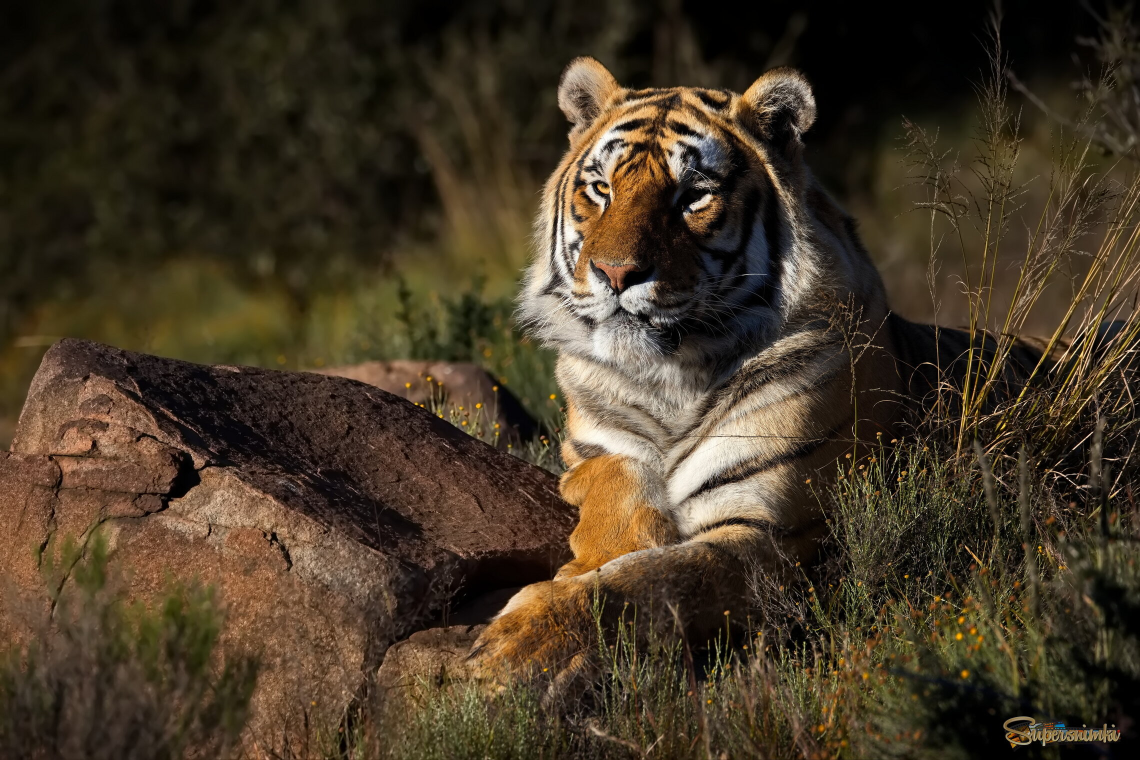 В утреннем свете