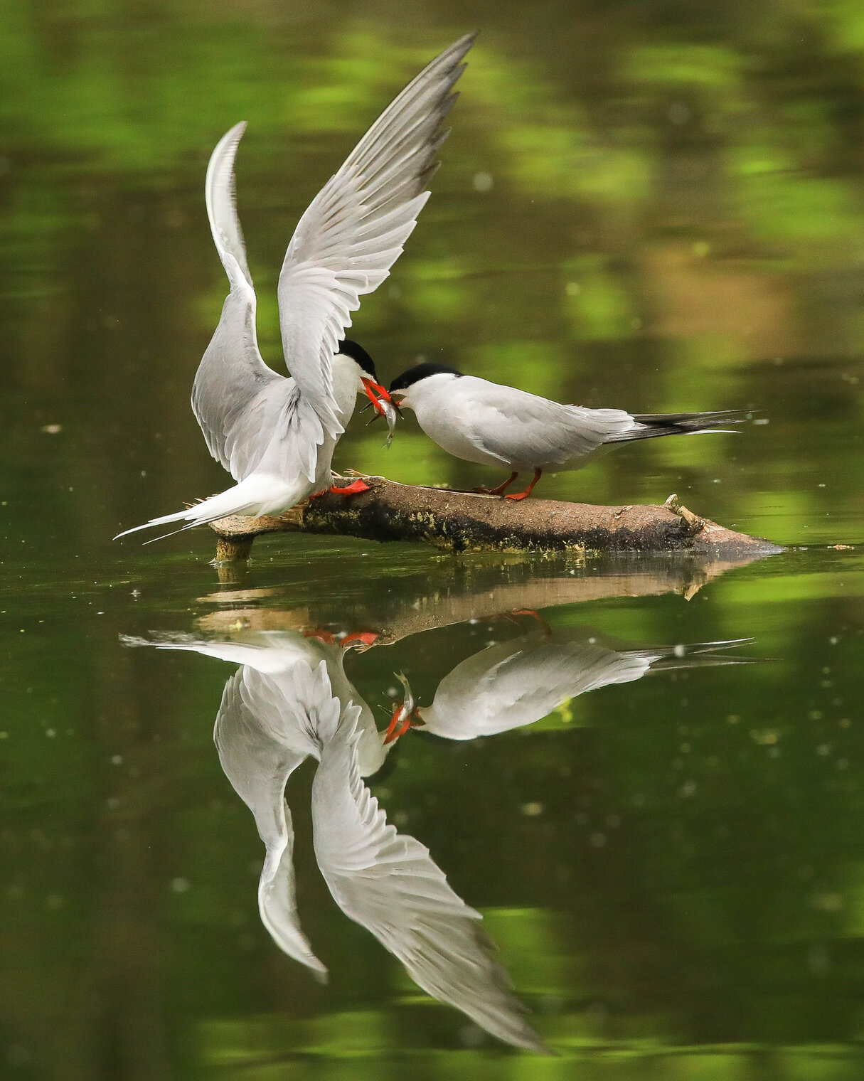 Кушать хочется!