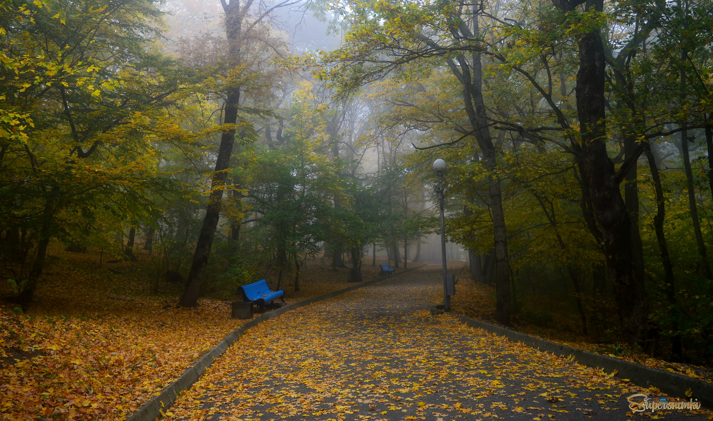 Падают листья.......