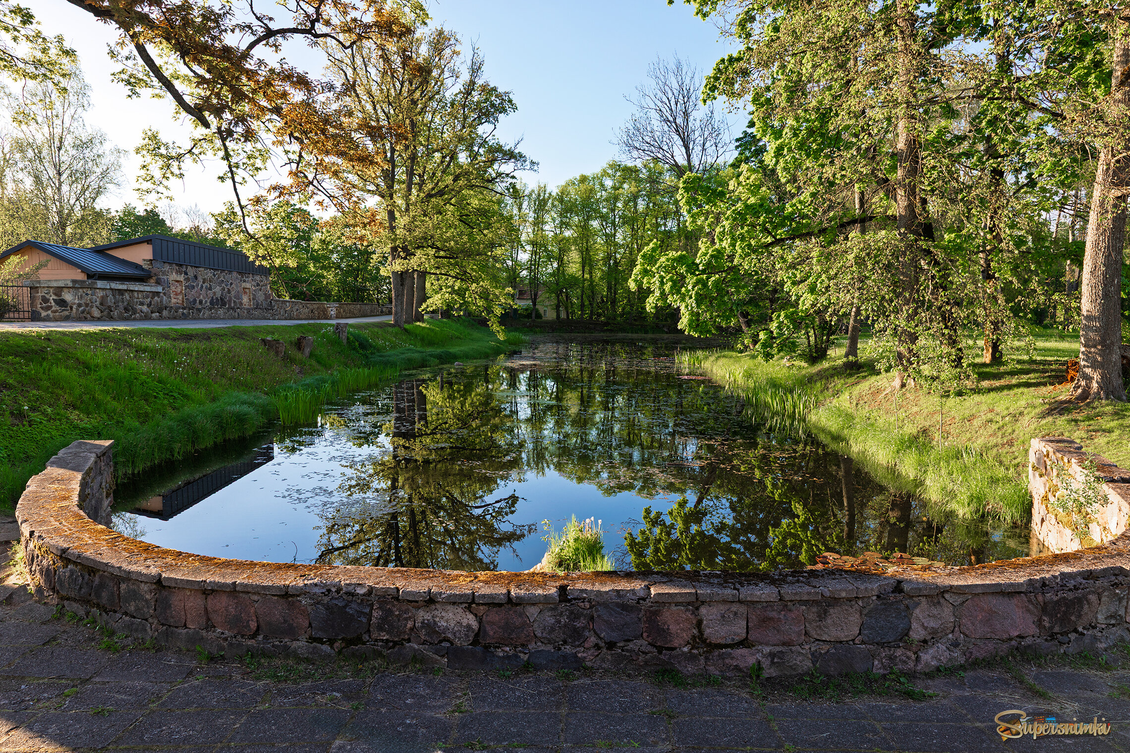 Старый пруд