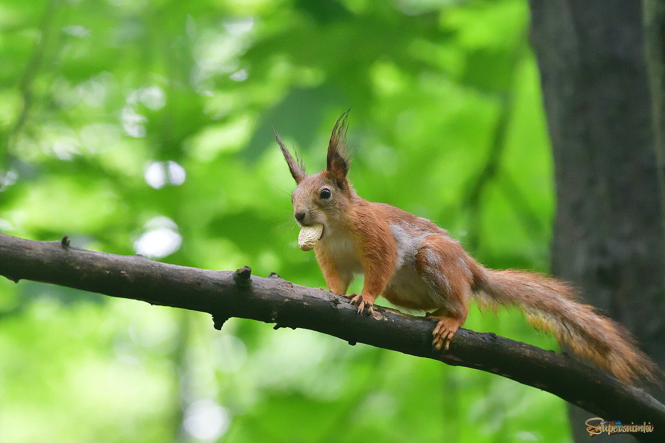 6836c337e704e1f49c6389b6