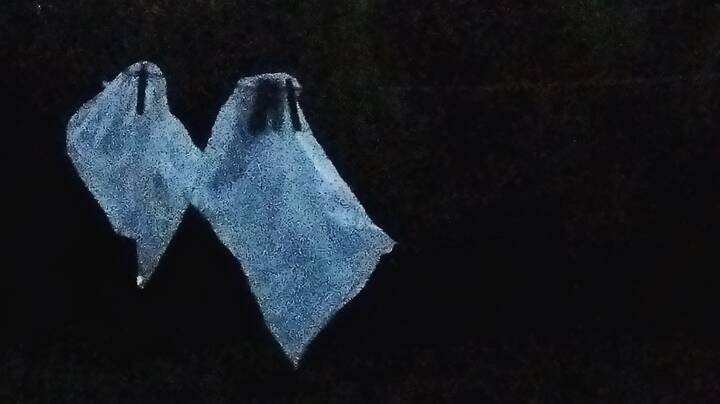 1+1